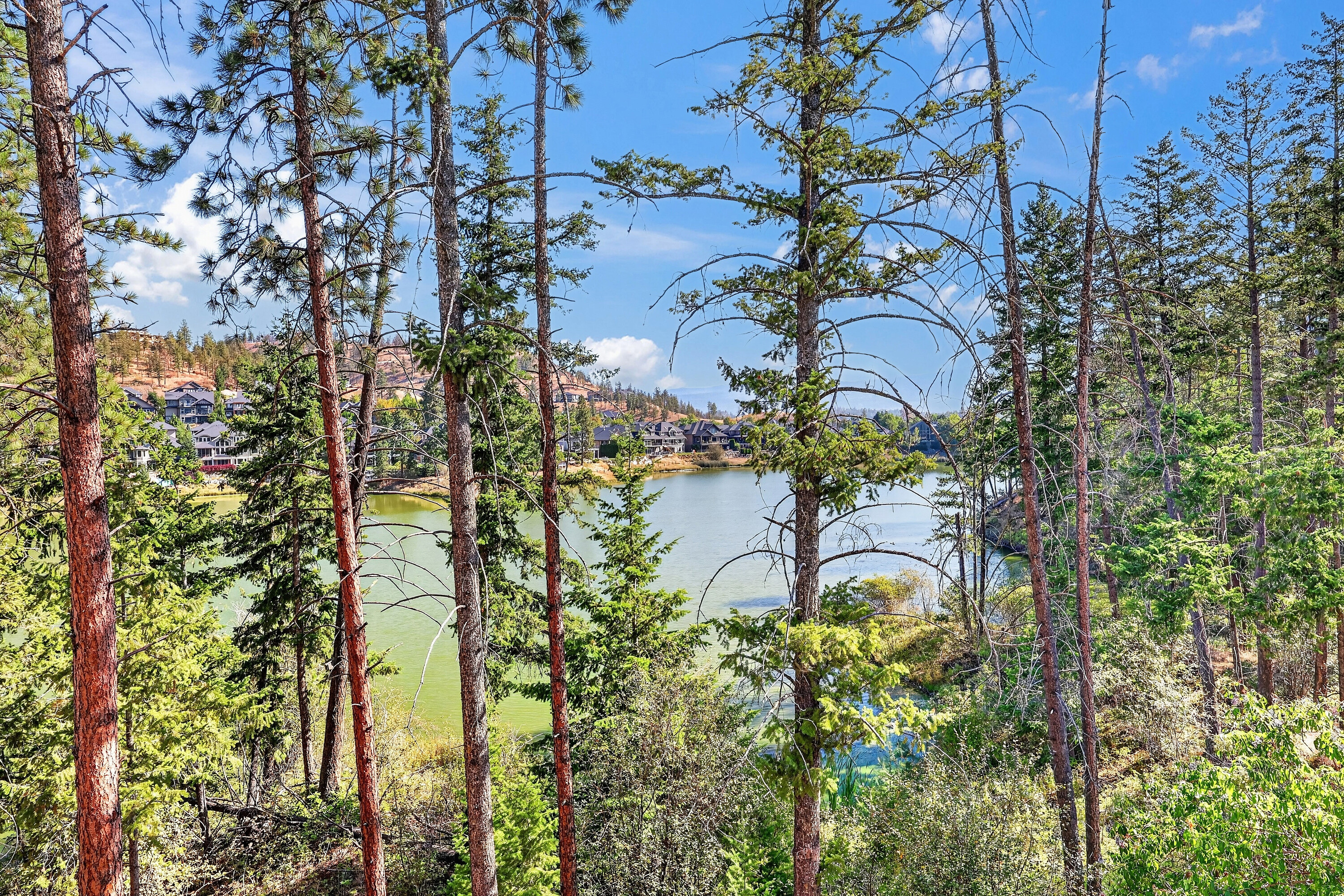  Lakeview Home - 物件實景