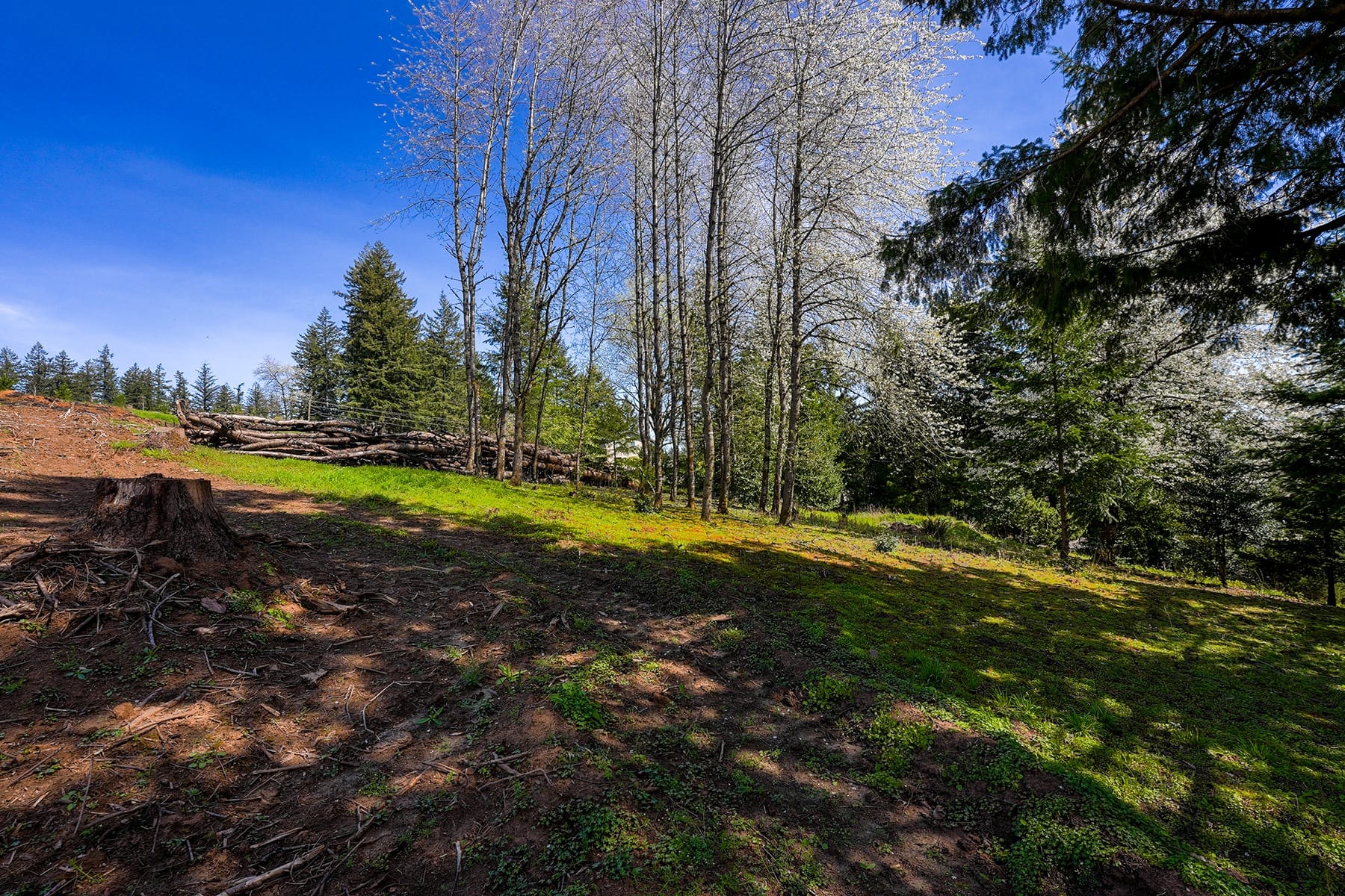  NE Mountain Home RD Sherwood, OR 97140 - 物件實景