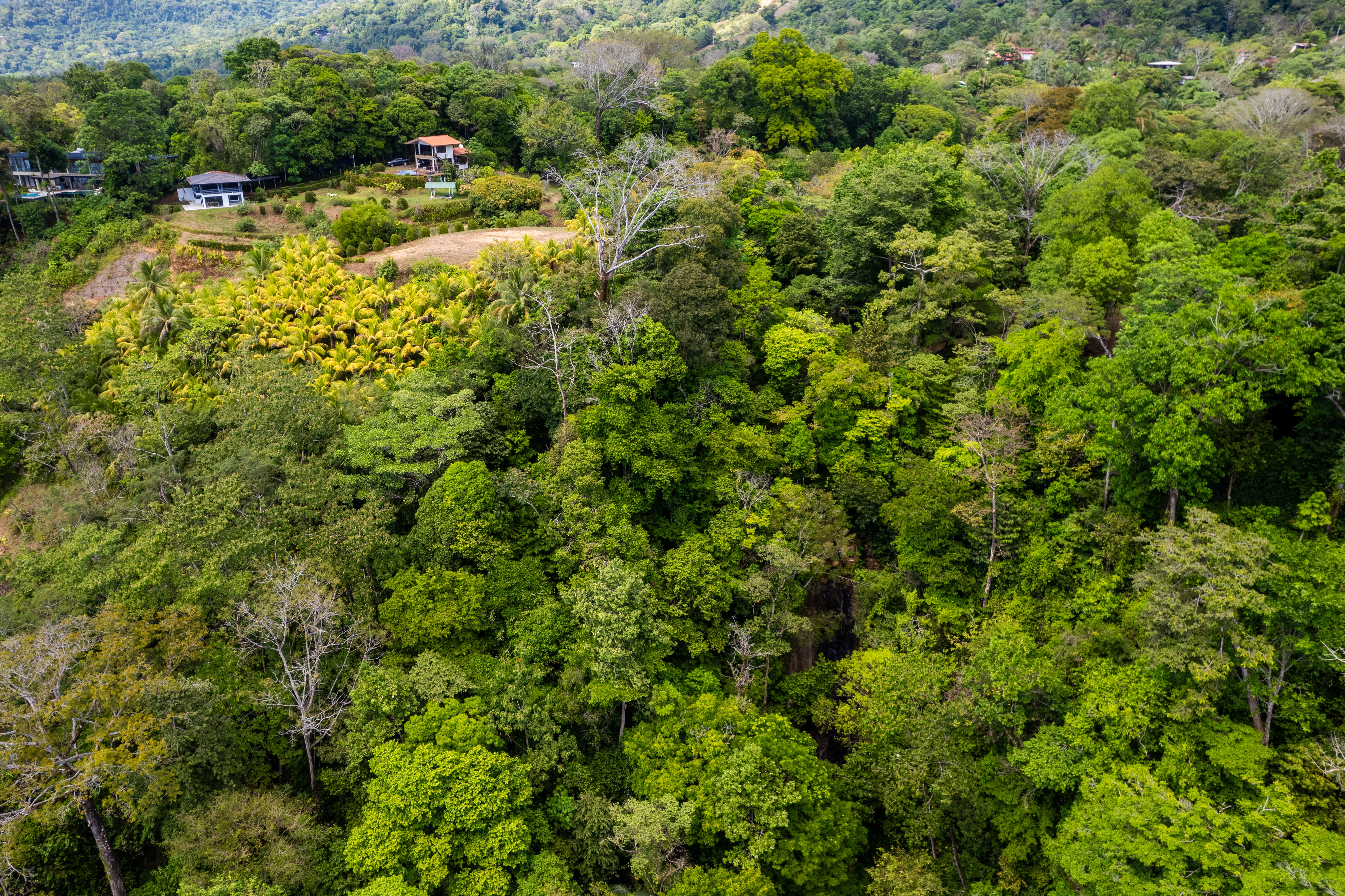 Uvita, Puntarenas, CR, ,Land,For Sale,1738605