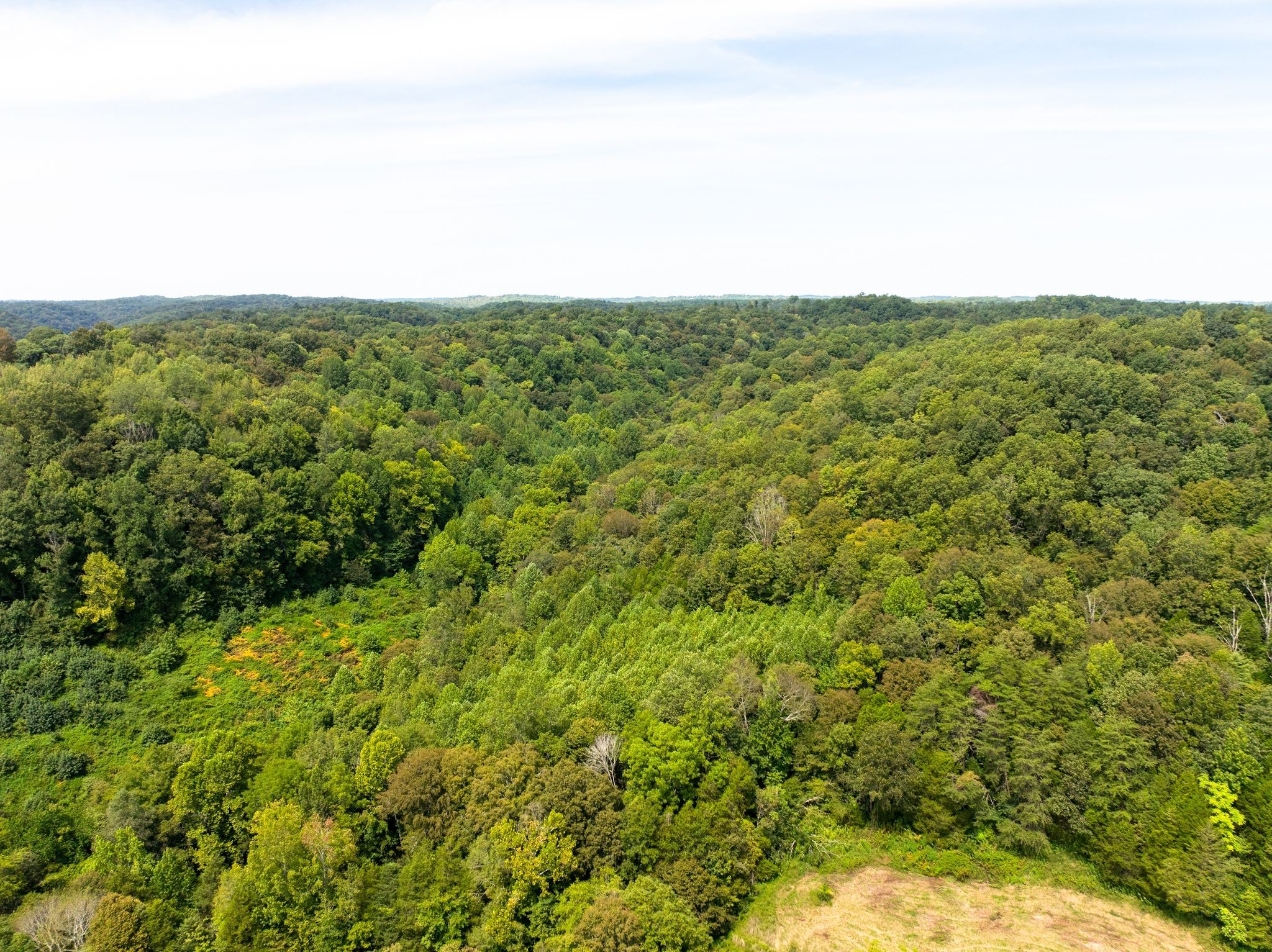 Celina, Tennessee, 38551, United States, ,Land,For Sale,1977132