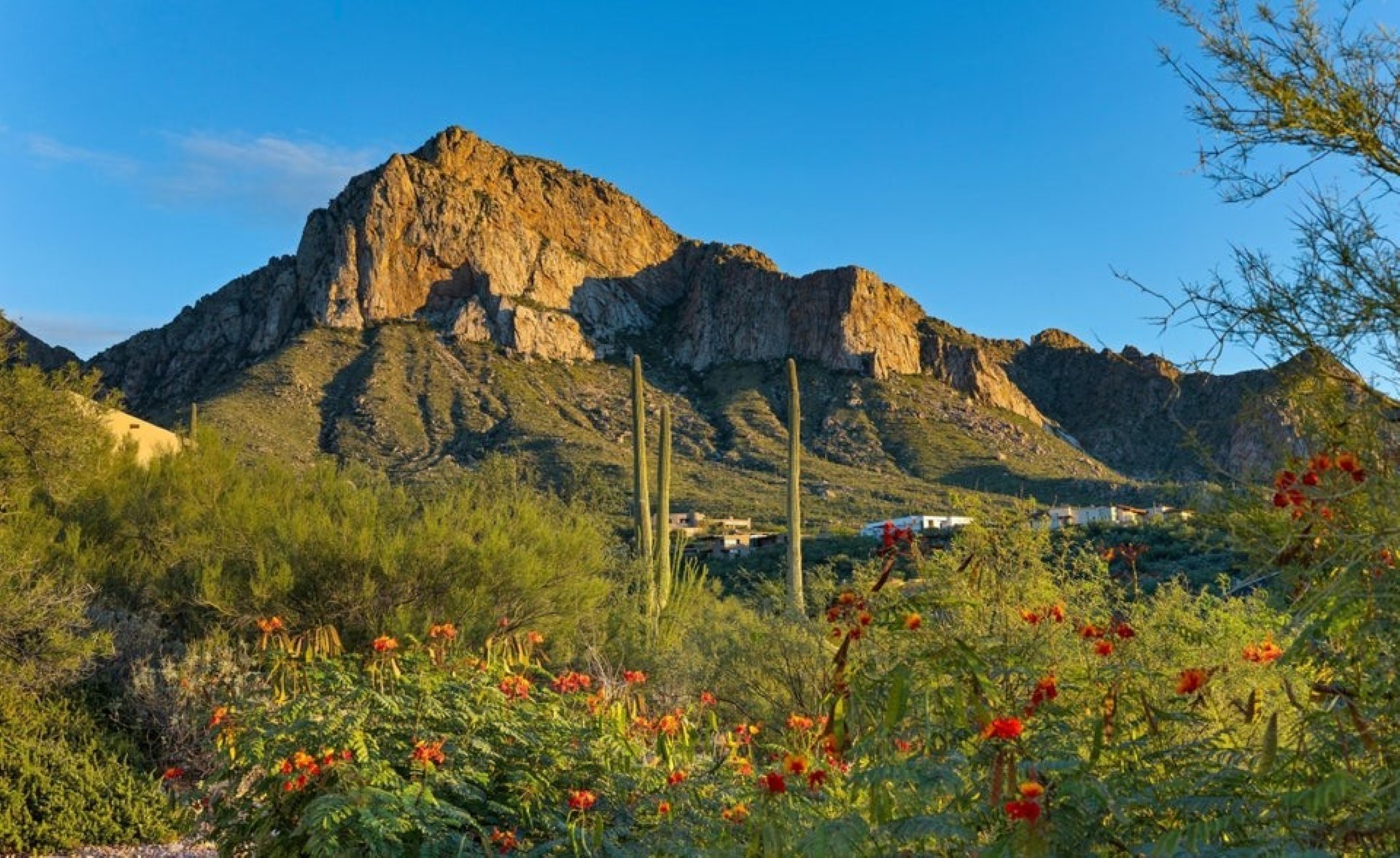  10060 N La Reserve Drive¦Tucson, AZ - 物件實景