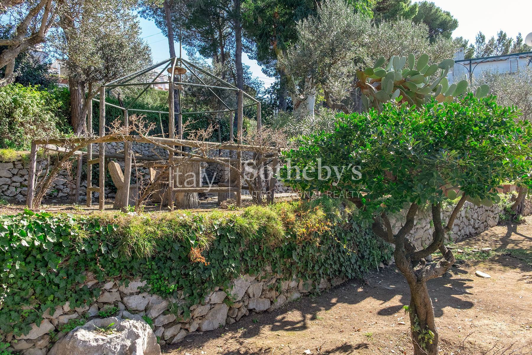  Wonderful villa with garden and seaview in Anacapri - 物件實景