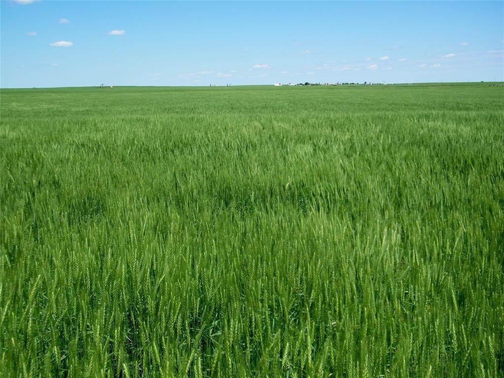 Kingfisher, Oklahoma, 73750, United States, ,Residential,For Sale,1982828