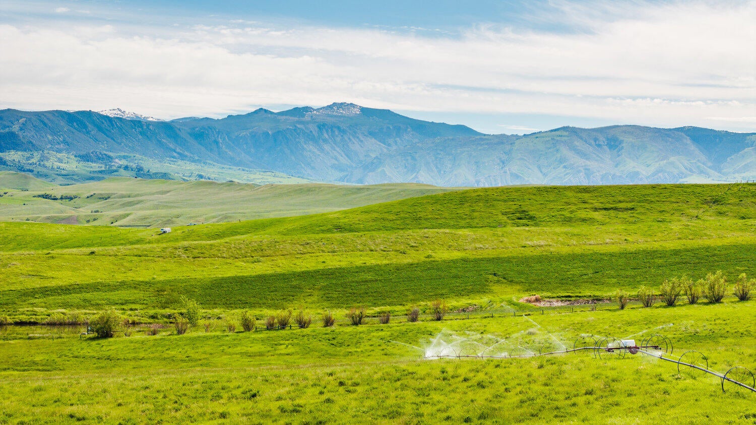 Sheridan, Wyoming, 82801, United States, 4 Bedrooms Bedrooms, ,2 BathroomsBathrooms,Residential,For Sale,2011372