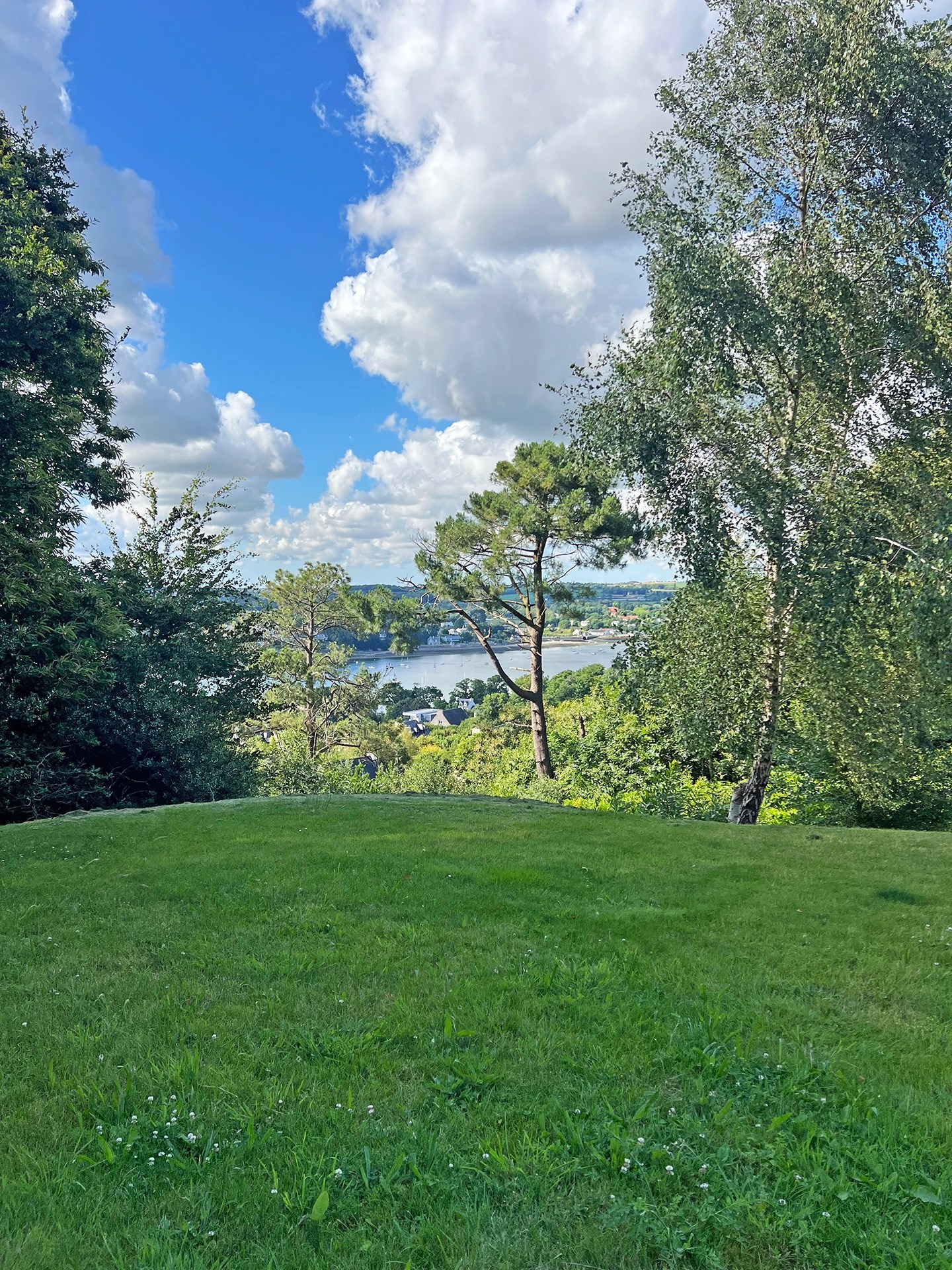  PLOUGASTEL, LARGE STONE HOUSE WITH POOL AND VIEW ON ÉLORN RIVER - 物件實景