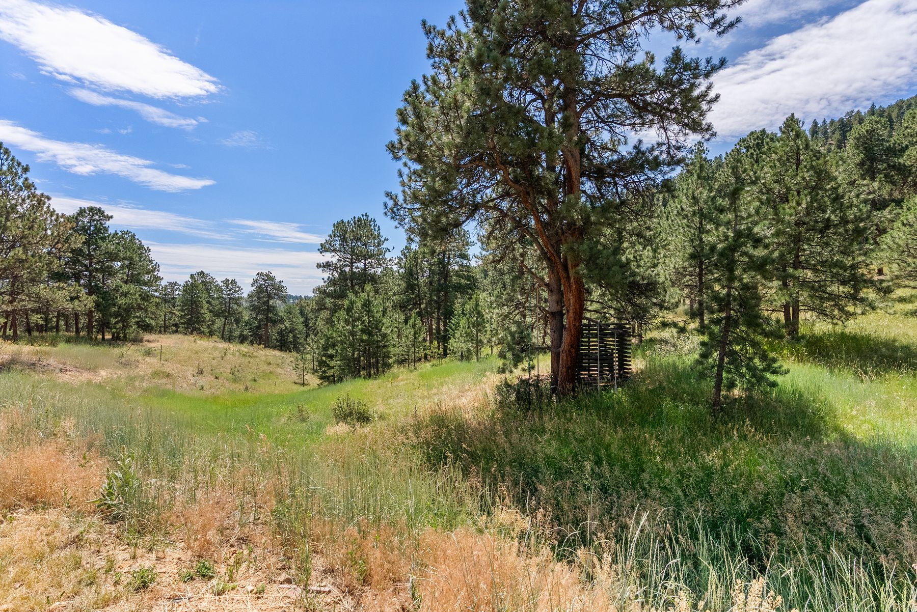  000 Hotel Way, Golden, CO, 80401 - 物件實景