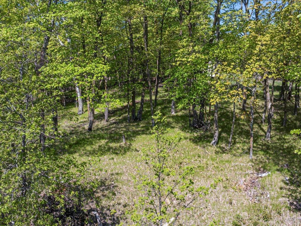 Cohasset, Minnesota, 55721, United States, ,Land,For Sale,1850344