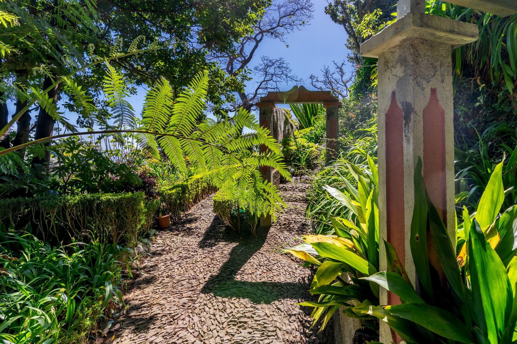  House, 3 bedrooms, for Sale - 物件實景