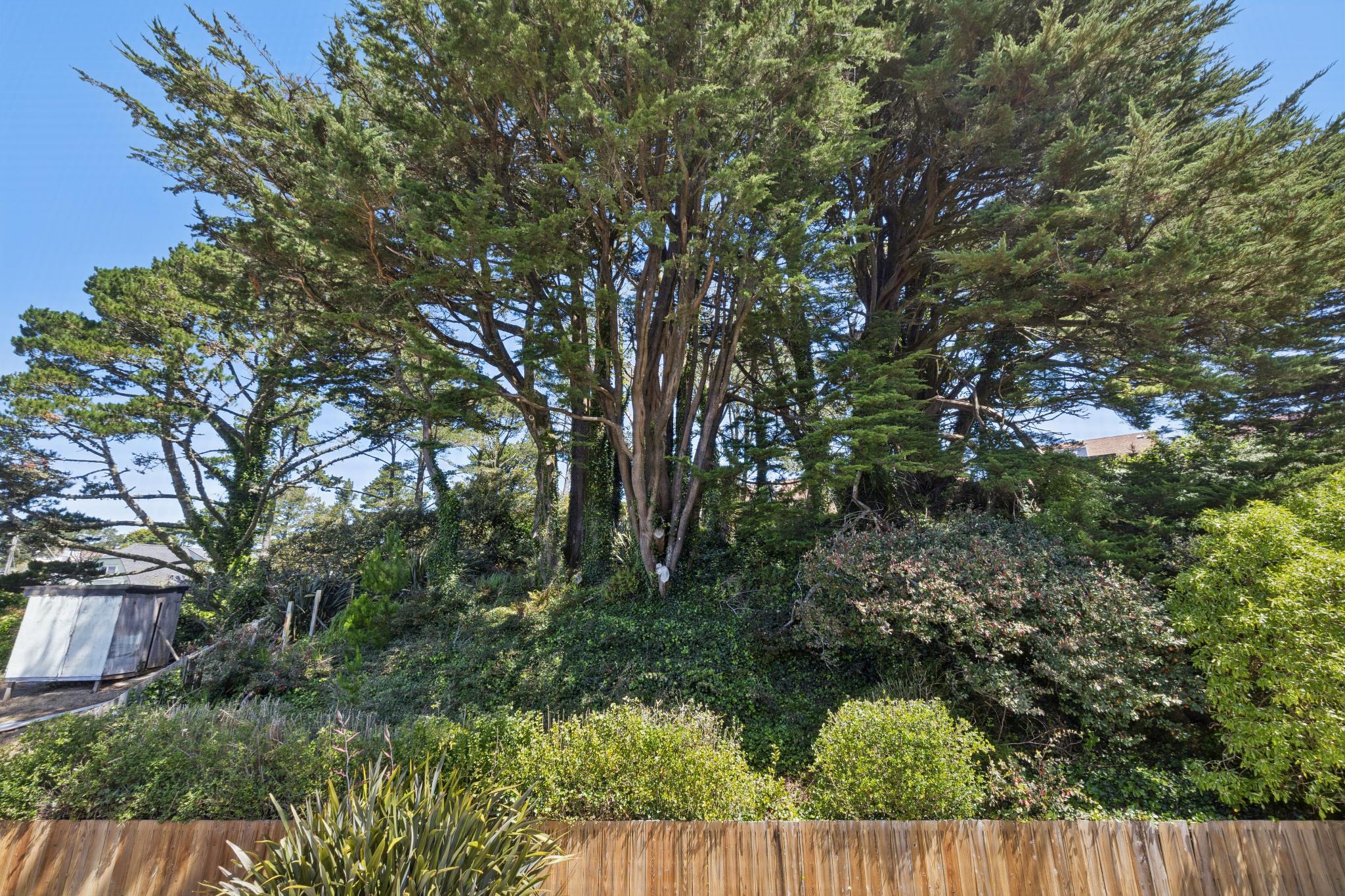  Exceptional Pacifica Retreat with Views - 物件實景