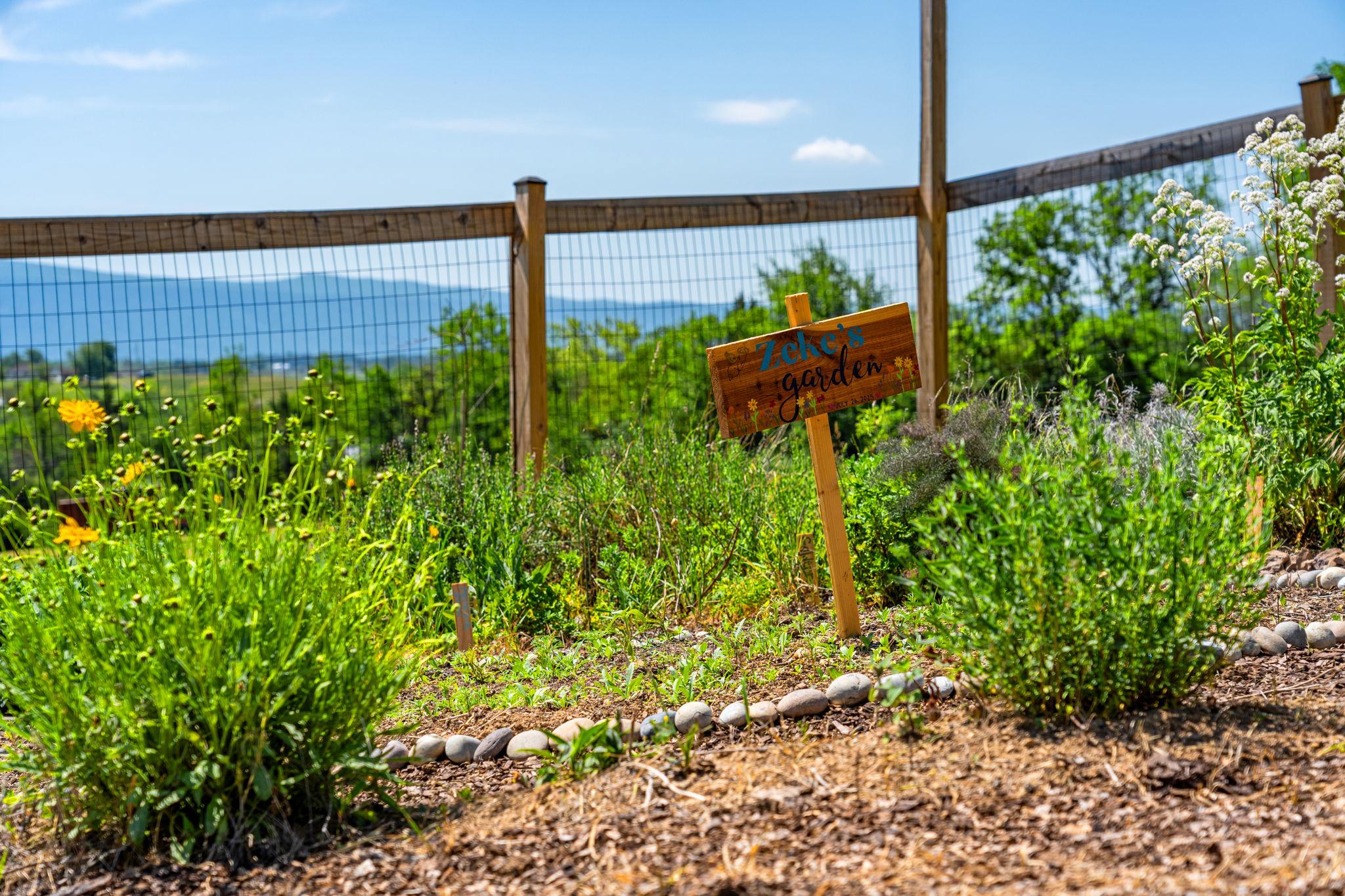  384 Lindamood Lane, Strasburg, VA, 22641 - 物件實景