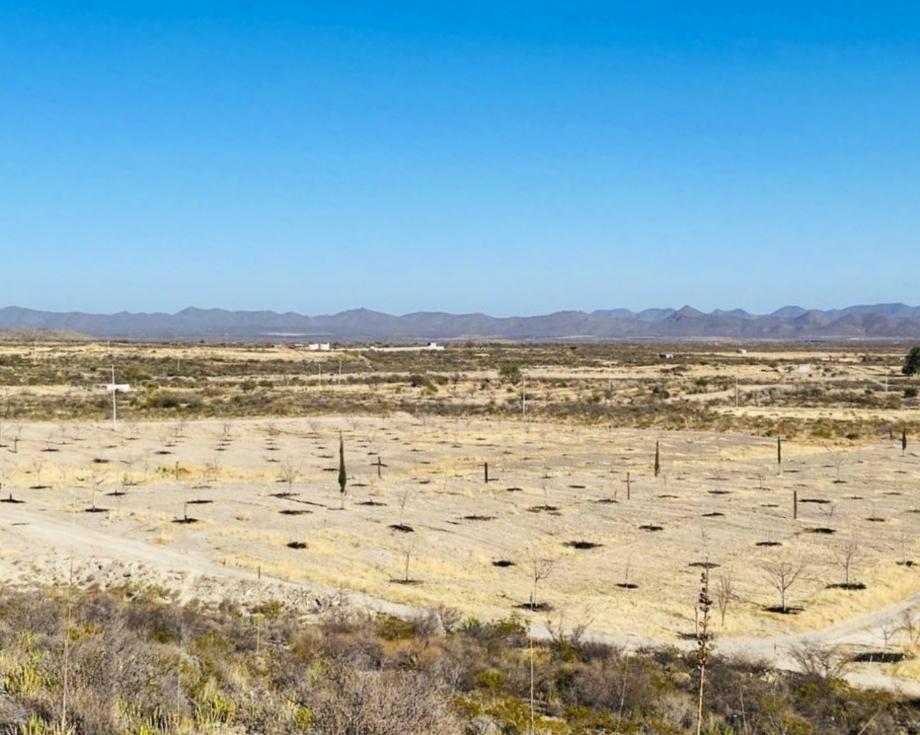 Parras, Coahuila de Zaragoza, 27986, Mexico, 1 Bedroom Bedrooms, ,Residential,For Sale,1699618