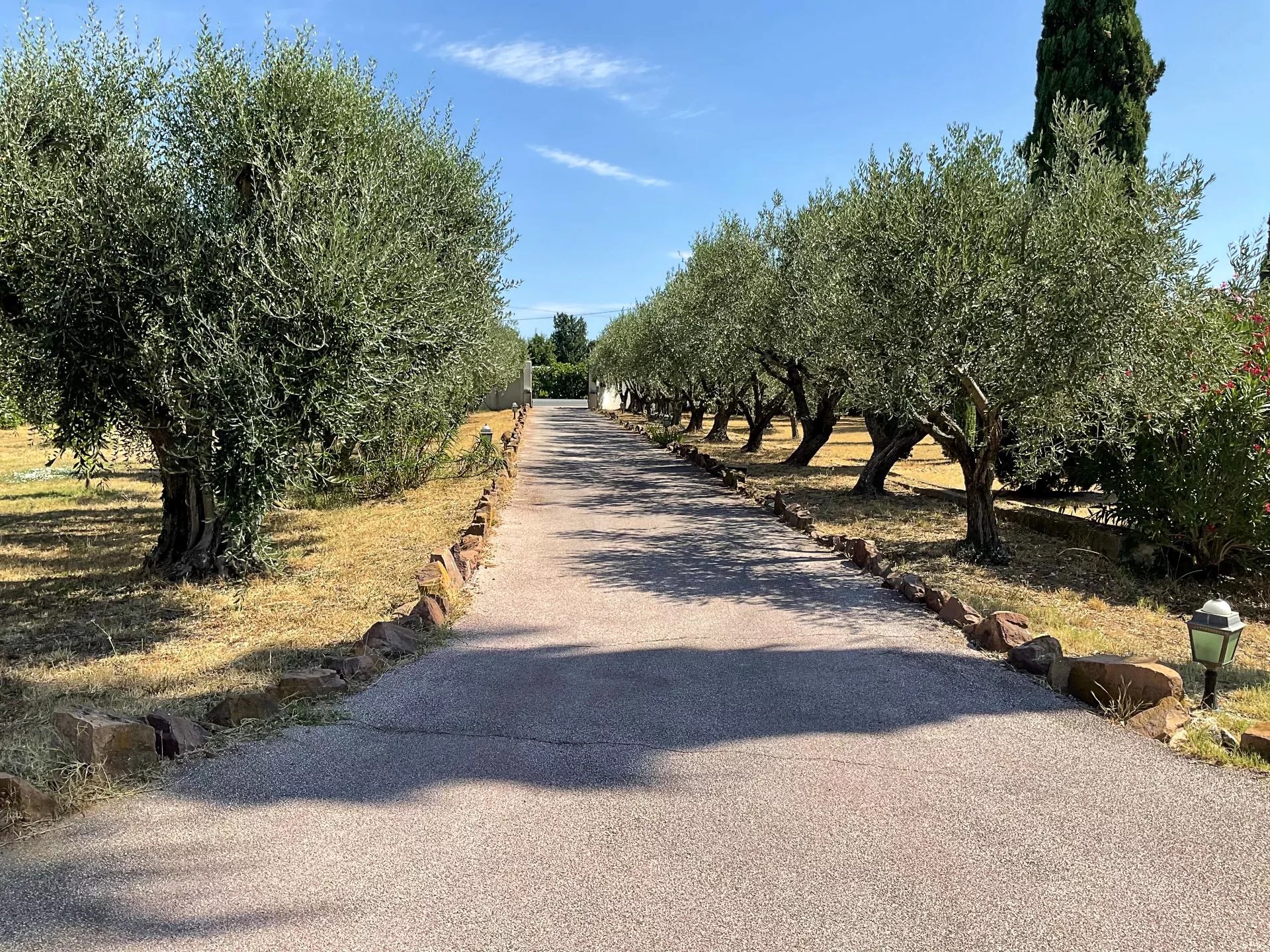 Solliès-Pont, Provence-Alpes-Côte d’Azur, 83210, FR, 5 Bedrooms Bedrooms, ,6 BathroomsBathrooms,Residential,For Sale,1907587