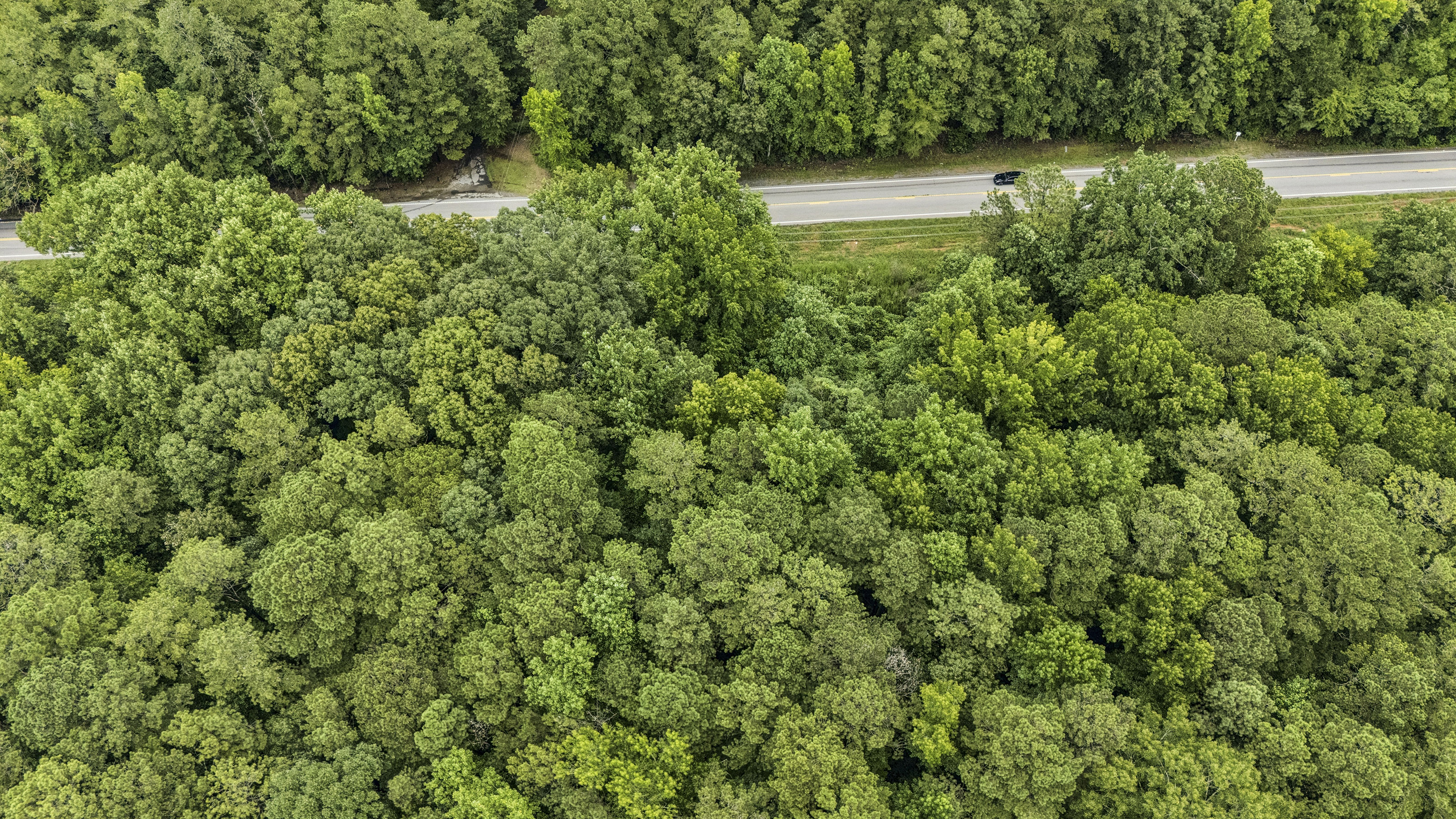  Incredible Development Opportunity on Over Ten Acres on Prime Stockbridge Site - 物件實景