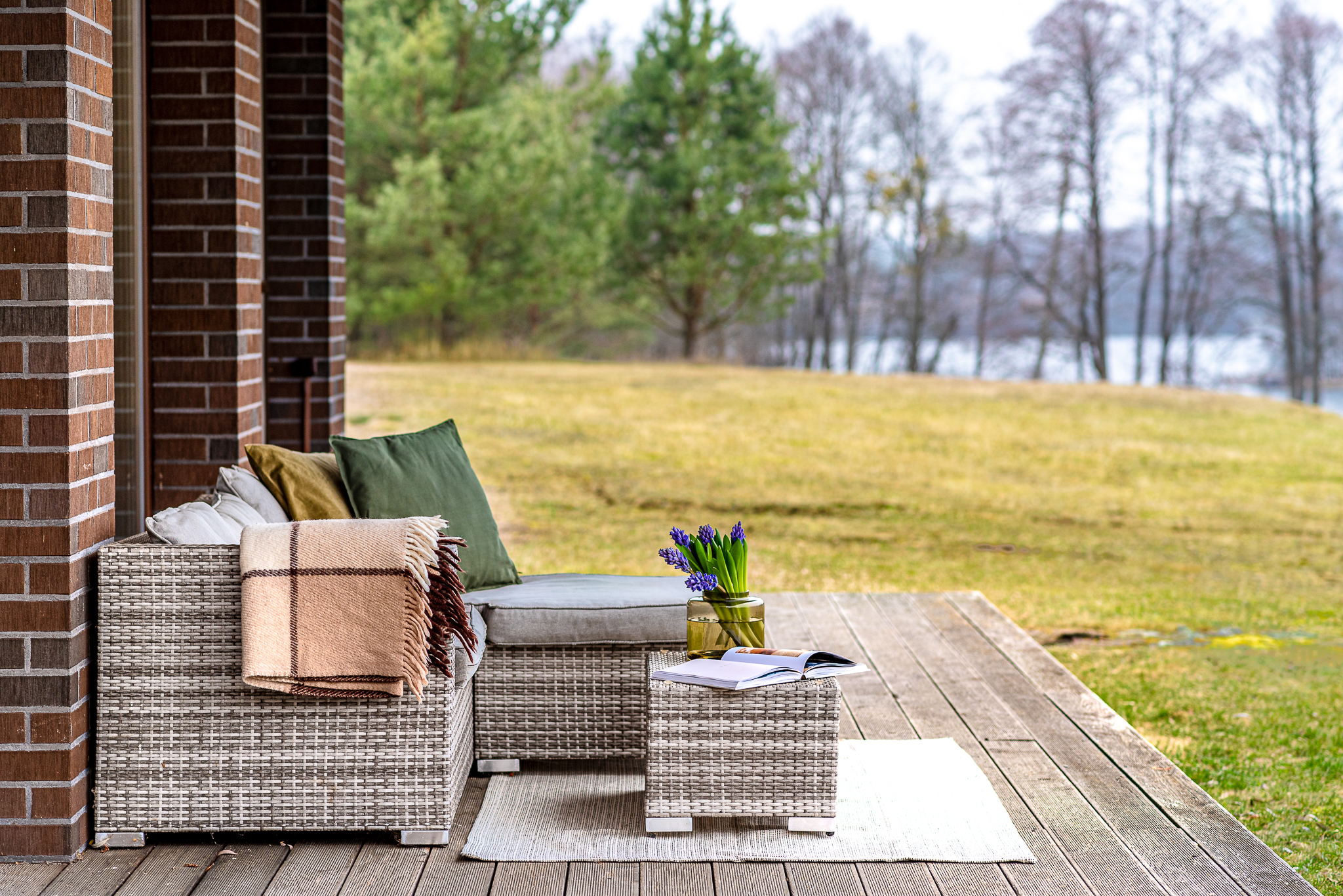  A spacious lakeshore residence near Druskininkai - 物件實景