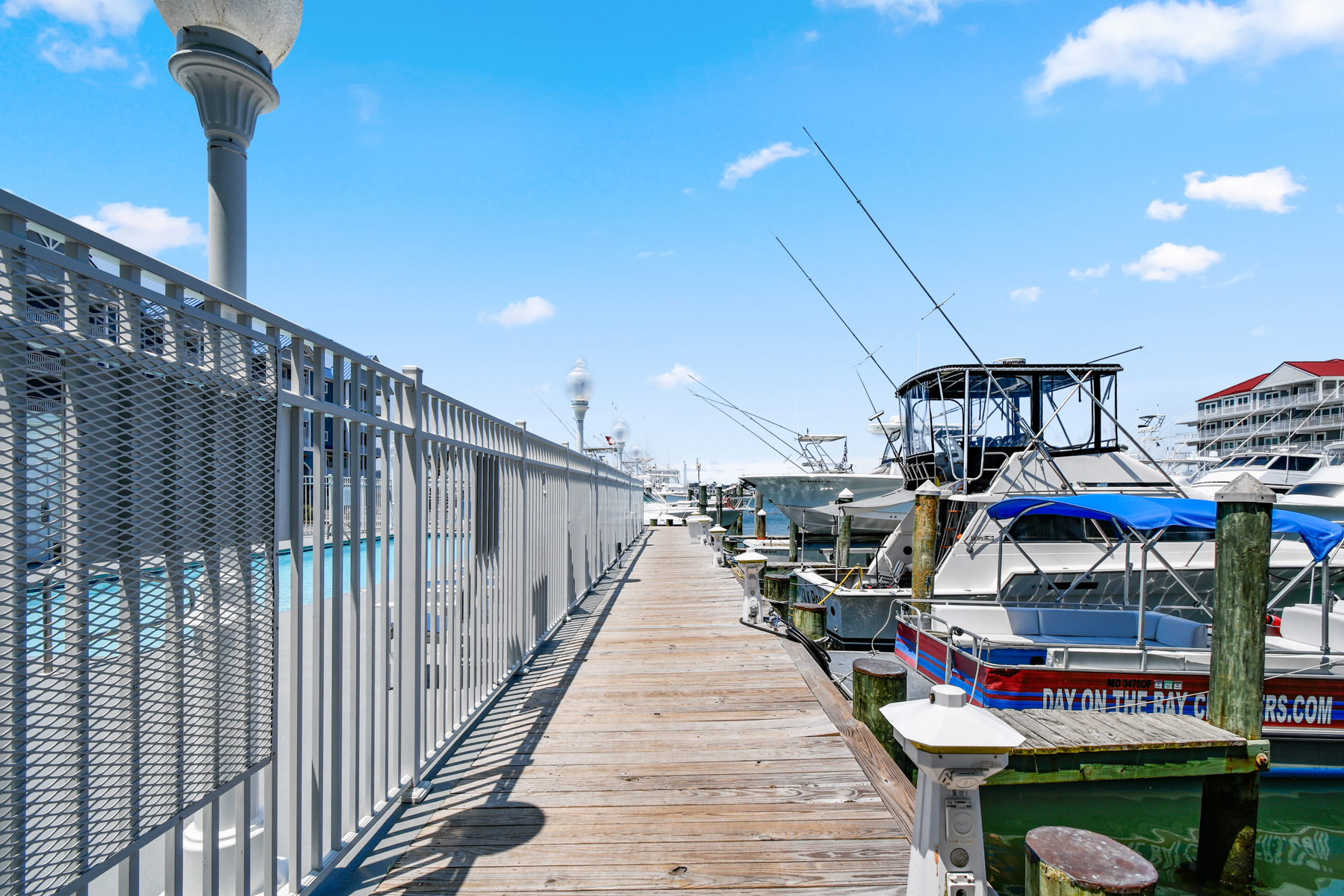  White Marlin - 物件實景