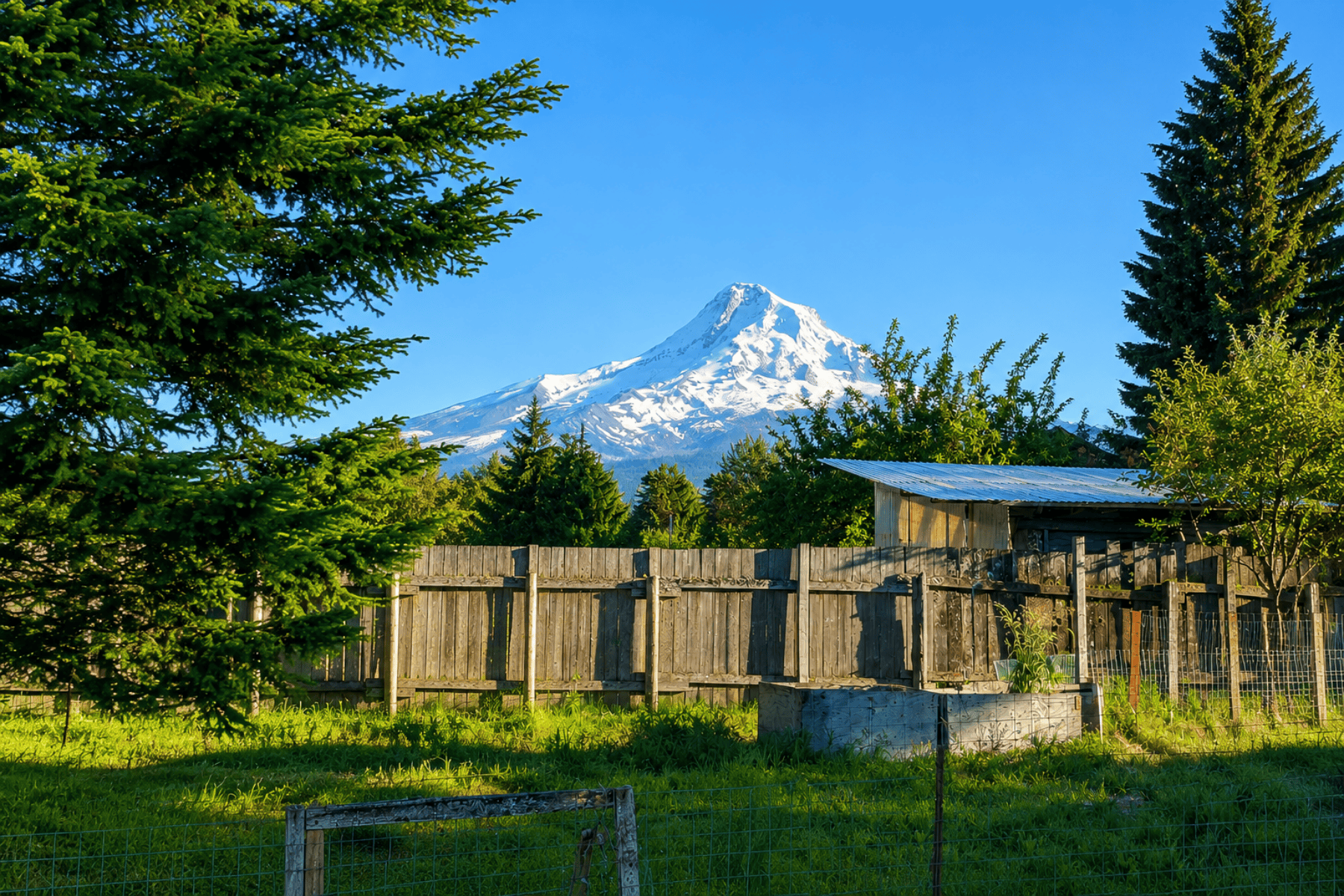  6455 TROUT CREEK RIDGE RD Mt Hood Prkdl, OR 97041 - 物件實景
