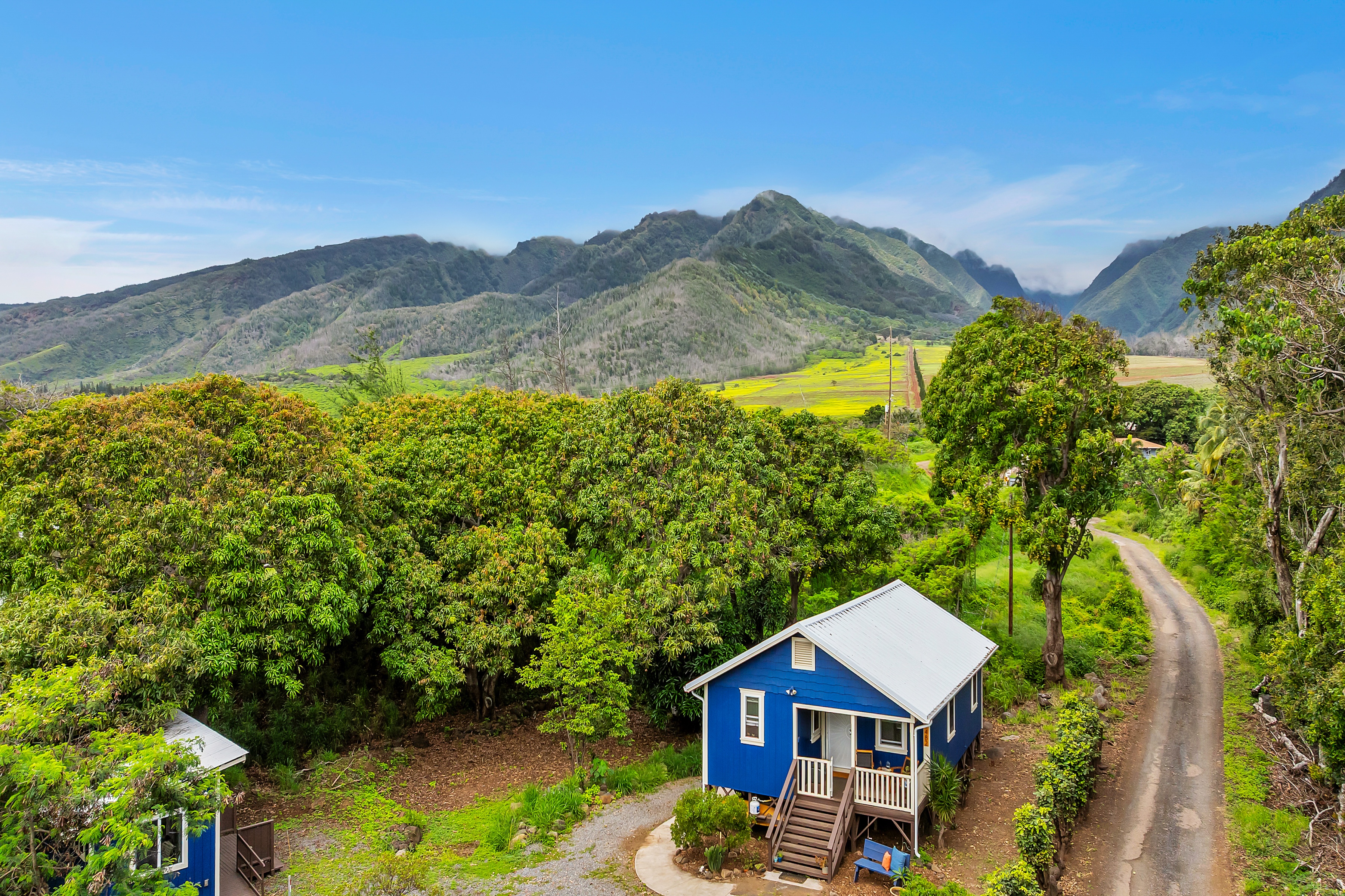  Timeless Plantation Home with Modern Upgrades - 物件實景