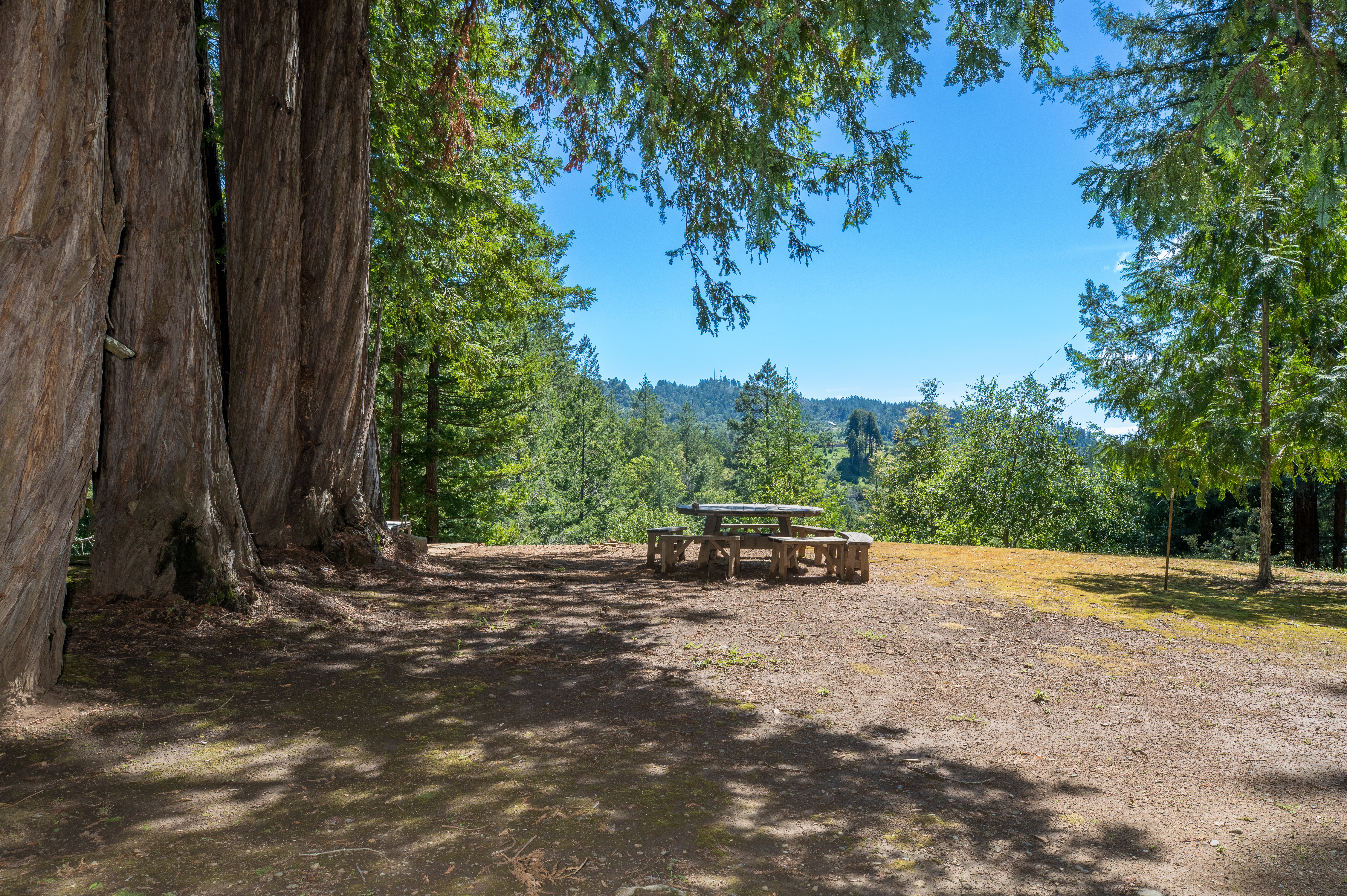 18900 Armstrong Woods Road, Guerneville, CA 95446 - 物件實景