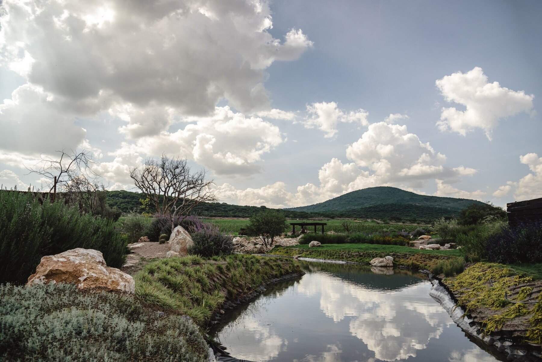  TERRENO PUERTA DEL LOBO - 物件實景