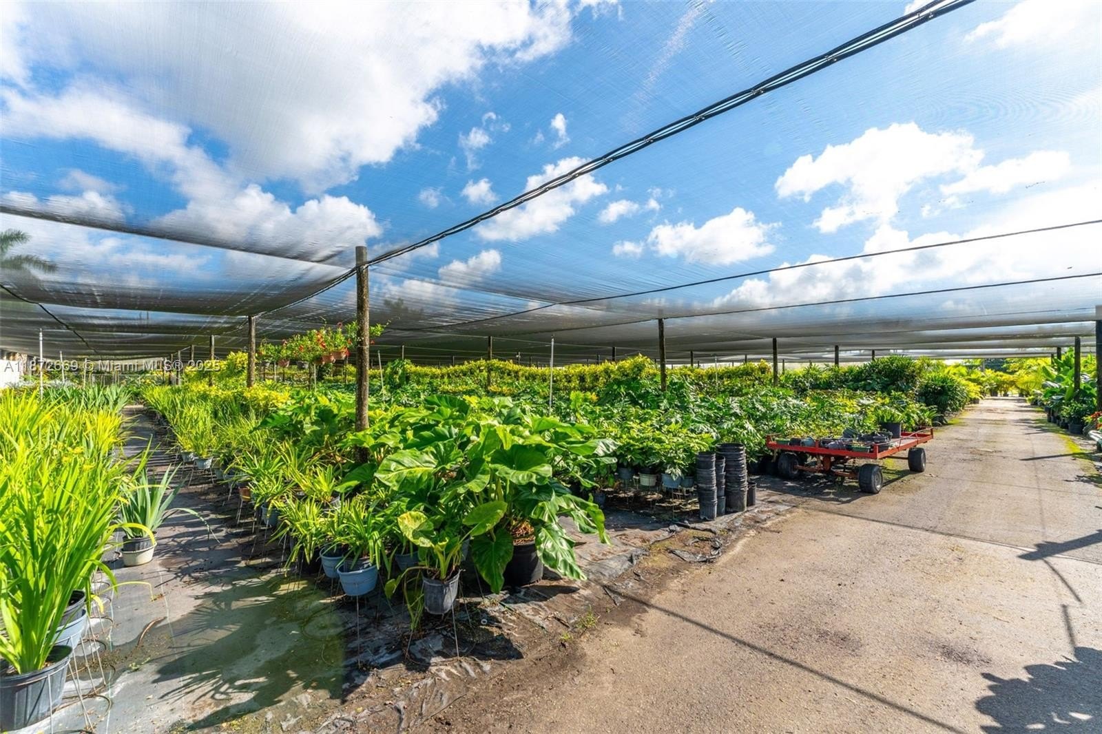 Miami, Florida, 33187, United States, ,Land,For Sale,1977512