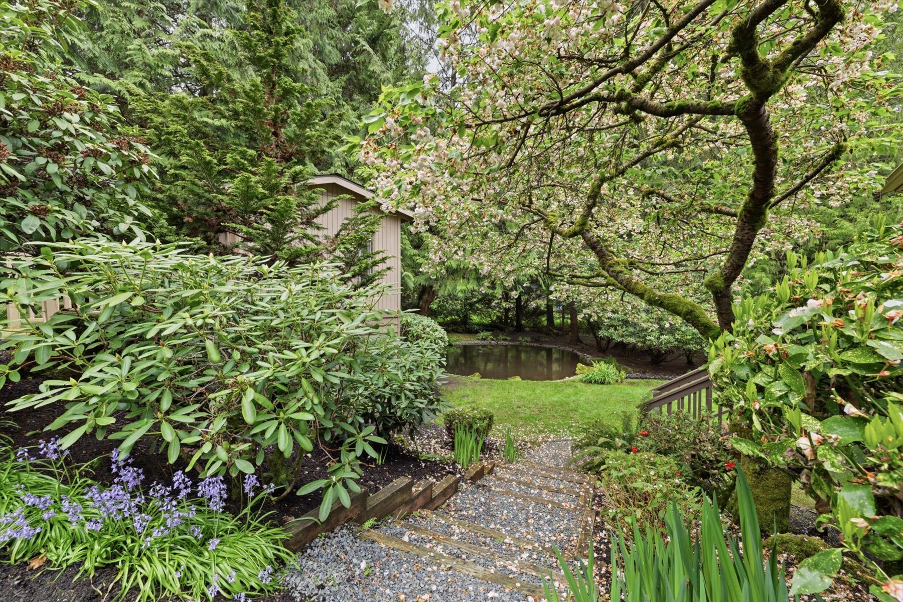  3531 NE 166th St, Lake Forest Park, WA 98155 - 物件實景