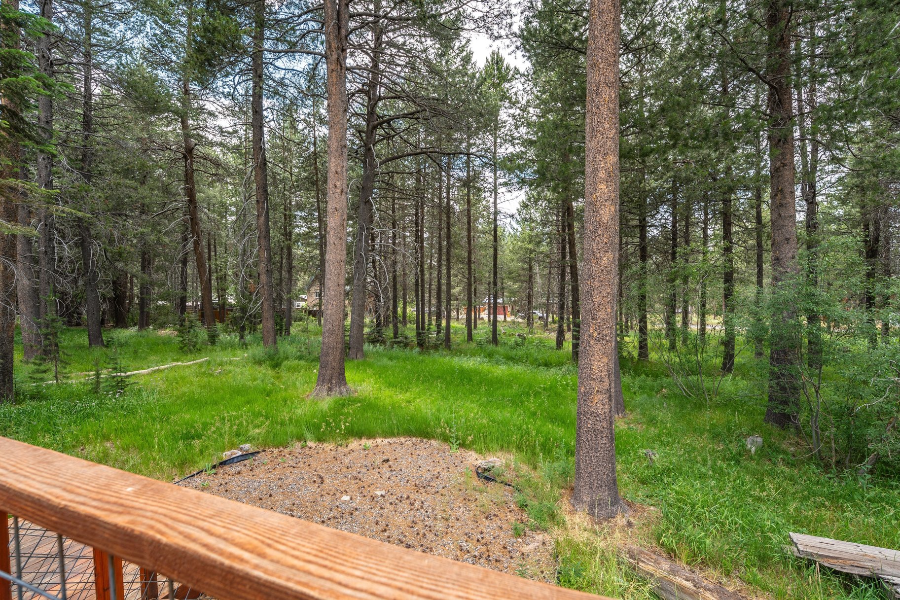  A Peaceful Tahoe Retreat Near Lake Baron and Endless Recreation - 物件實景