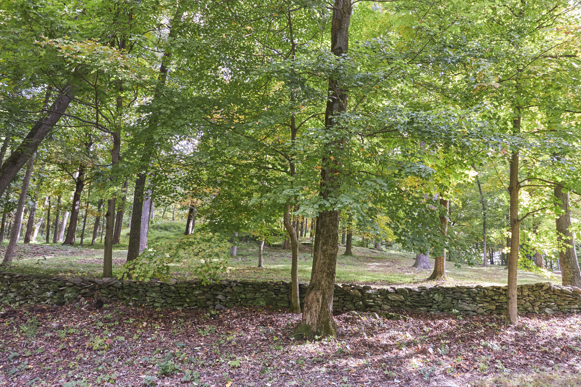  10 Old Primrose Hill Road, Rhinebeck, NY, 12572 - 物件實景