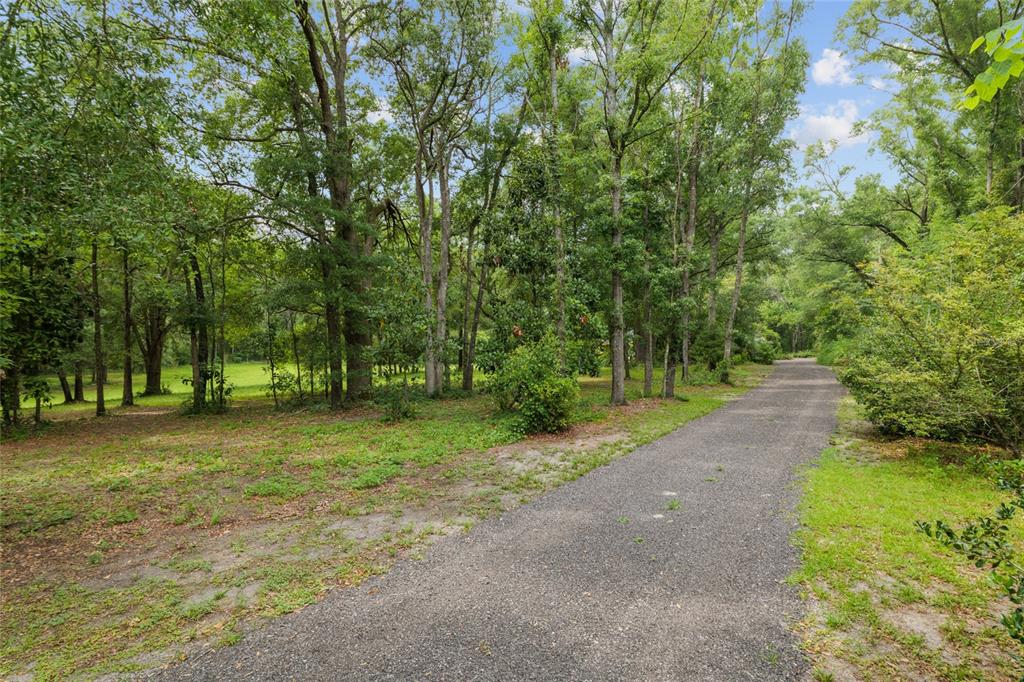 Newberry, Florida, 32669, United States, 3 Bedrooms Bedrooms, ,2 BathroomsBathrooms,Residential,For Sale,1847426