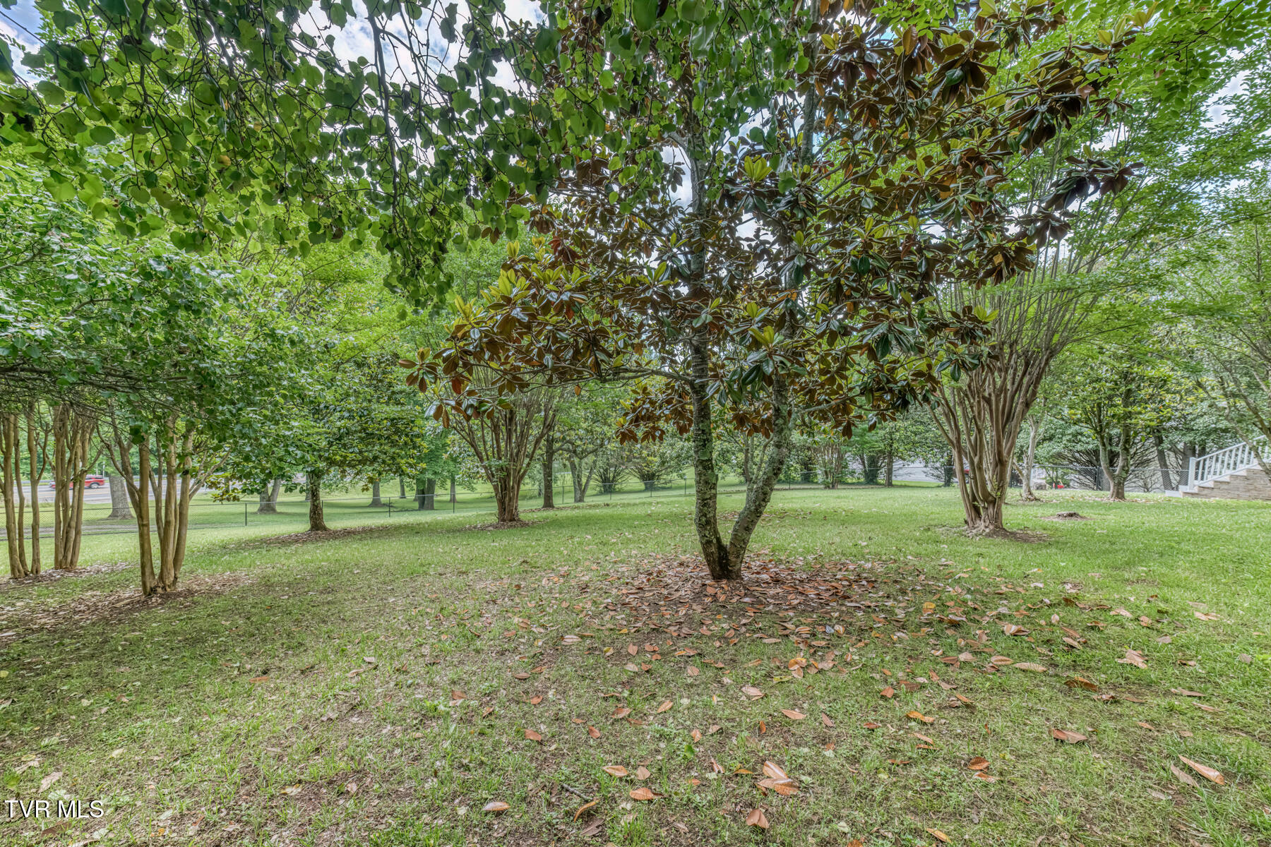 Afton, Tennessee, 37616, United States, 5 Bedrooms Bedrooms, ,3 BathroomsBathrooms,Residential,For Sale,2048467