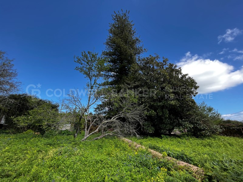 Pontevedra, Moa?a, Moa?a (San Marti?o P. E Virxe d, Moaña, Galicia, ES, 7 Bedrooms Bedrooms, ,2 BathroomsBathrooms,Residential,For Sale,Pontevedra, Moa?a, Moa?a (San Marti?o P. E Virxe d,1623275