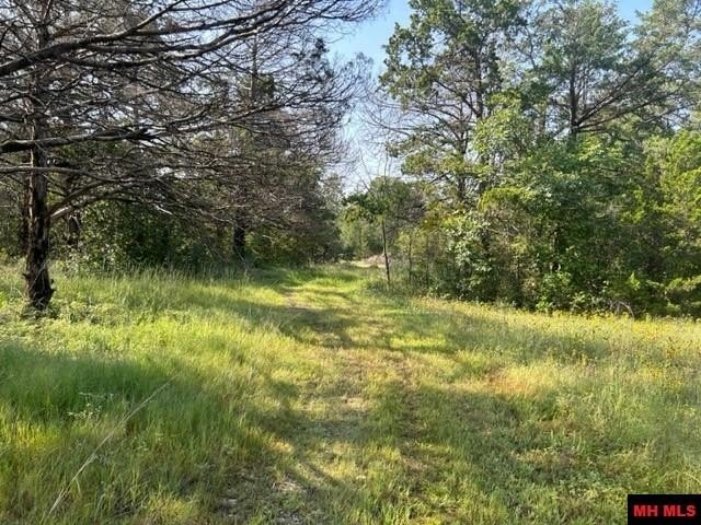 001-05276-003 INVERNESS DRIVE, Mountain Home, Arkansas, 72653, United States, ,Residential,For Sale,001-05276-003 INVERNESS DRIVE,1333567