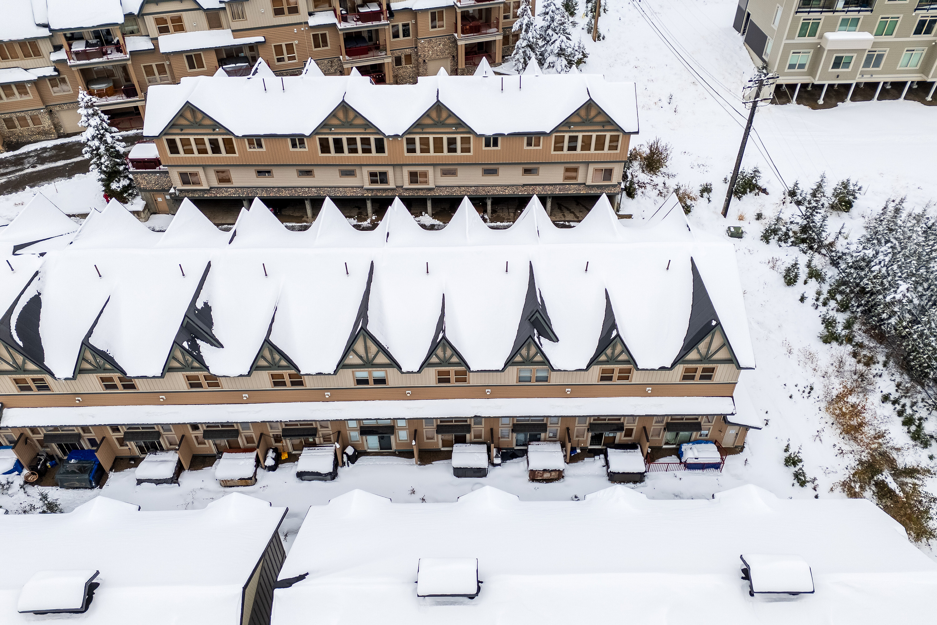  Tree Tops Chalet - 物件實景