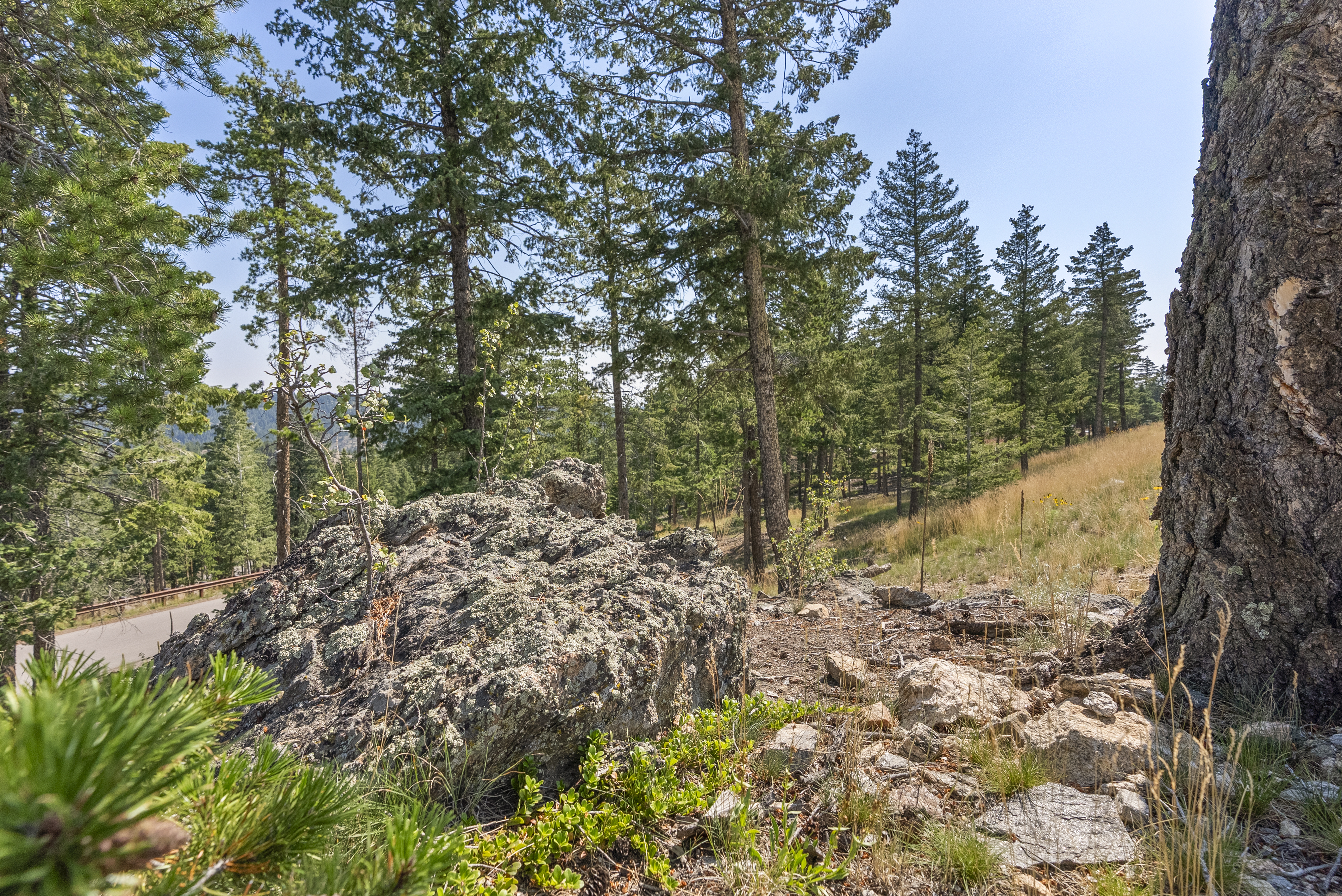  Acreage Available in Evergreen