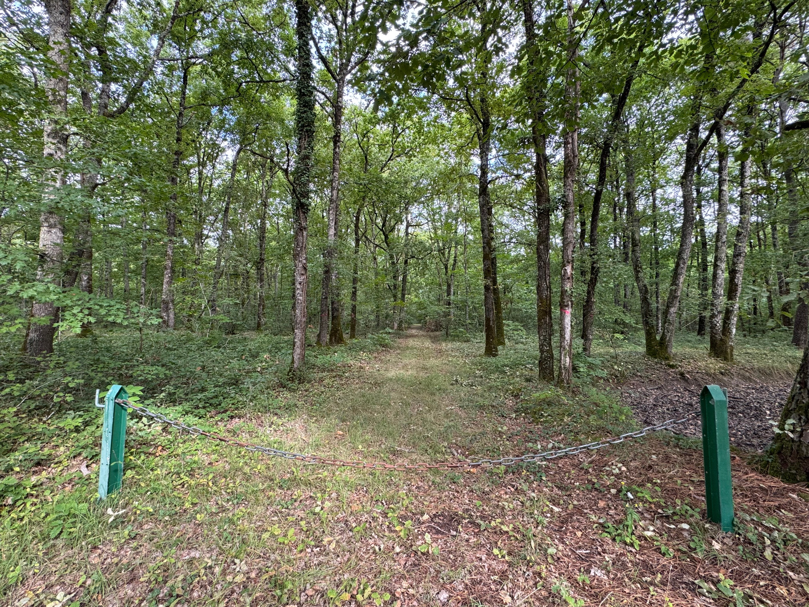  Loire Valley - Near Amboise / Tours - Exceptional Forest Estate – 180 hectares - 物件實景
