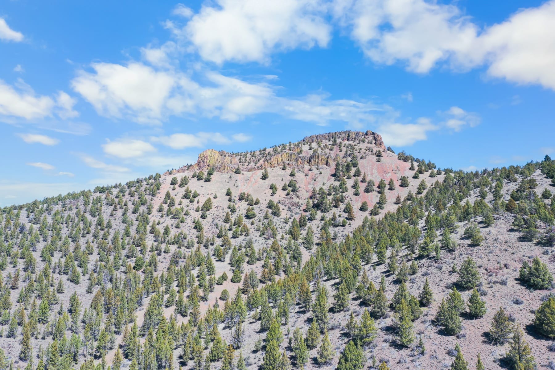  16305 N East Ochoco Highway Prineville, OR 97754 - 物件實景