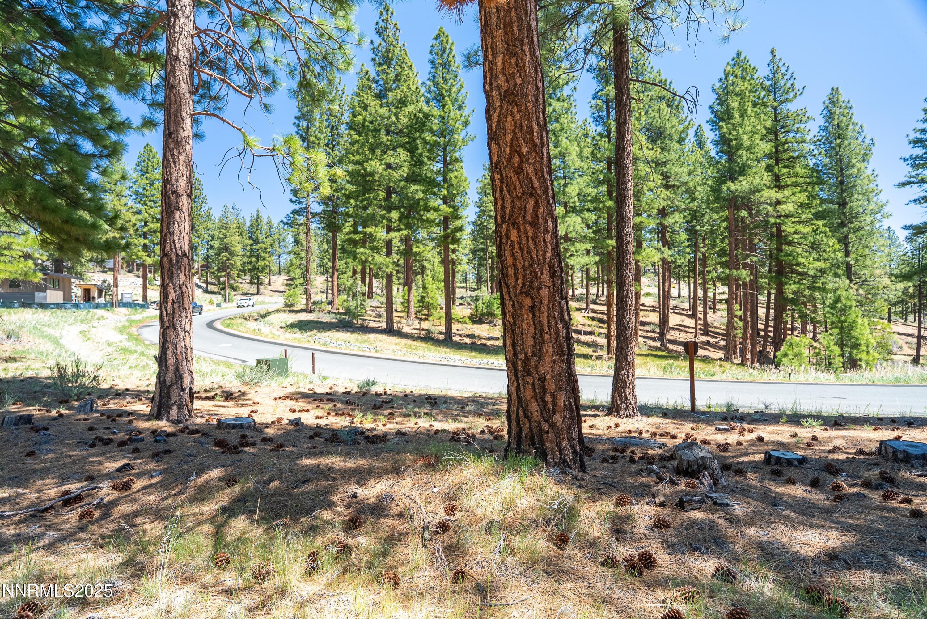 Carson City, Nevada, 89705, United States, ,Land,For Sale,1848376