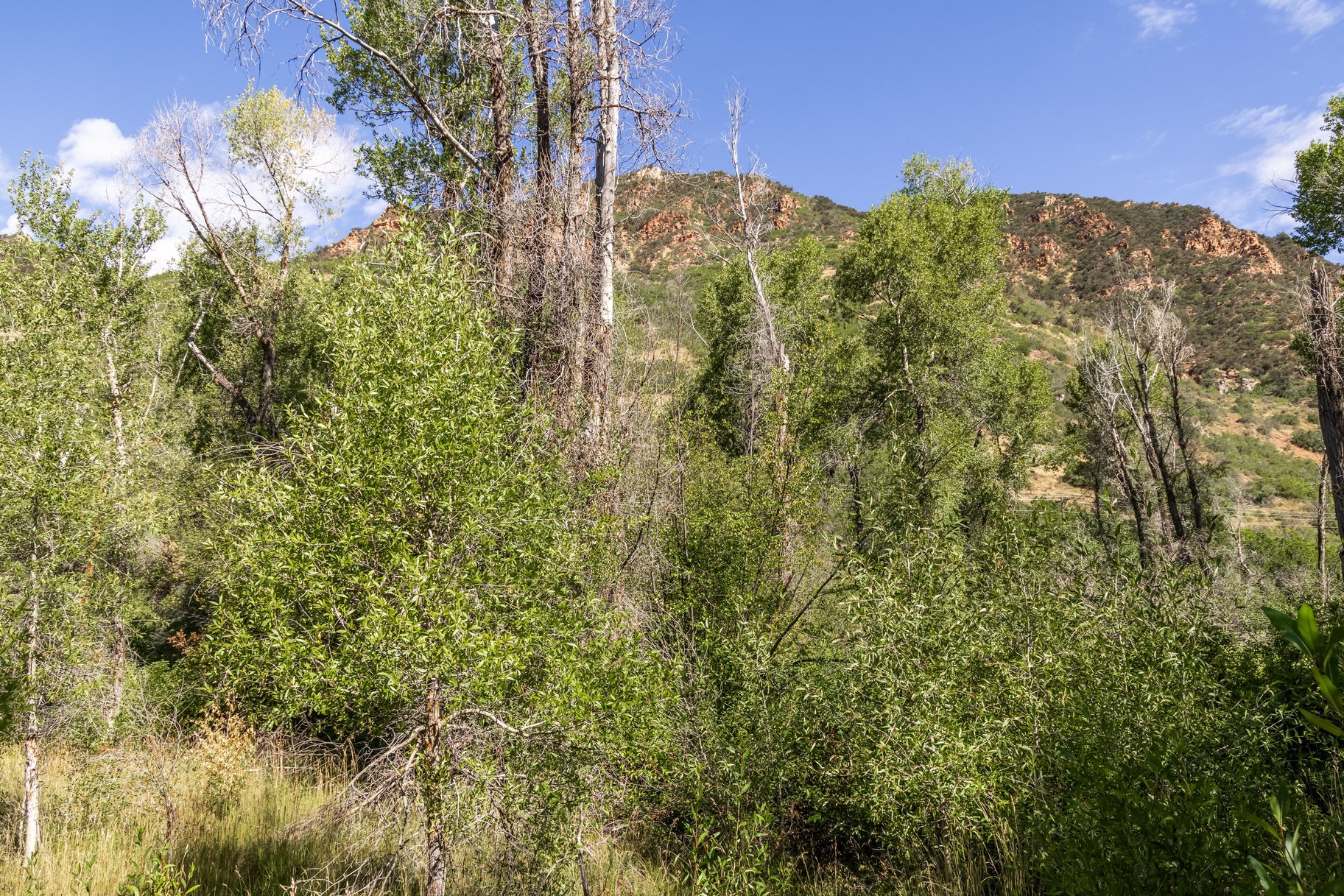  Rare Weber River Frontage Homesite - 物件實景