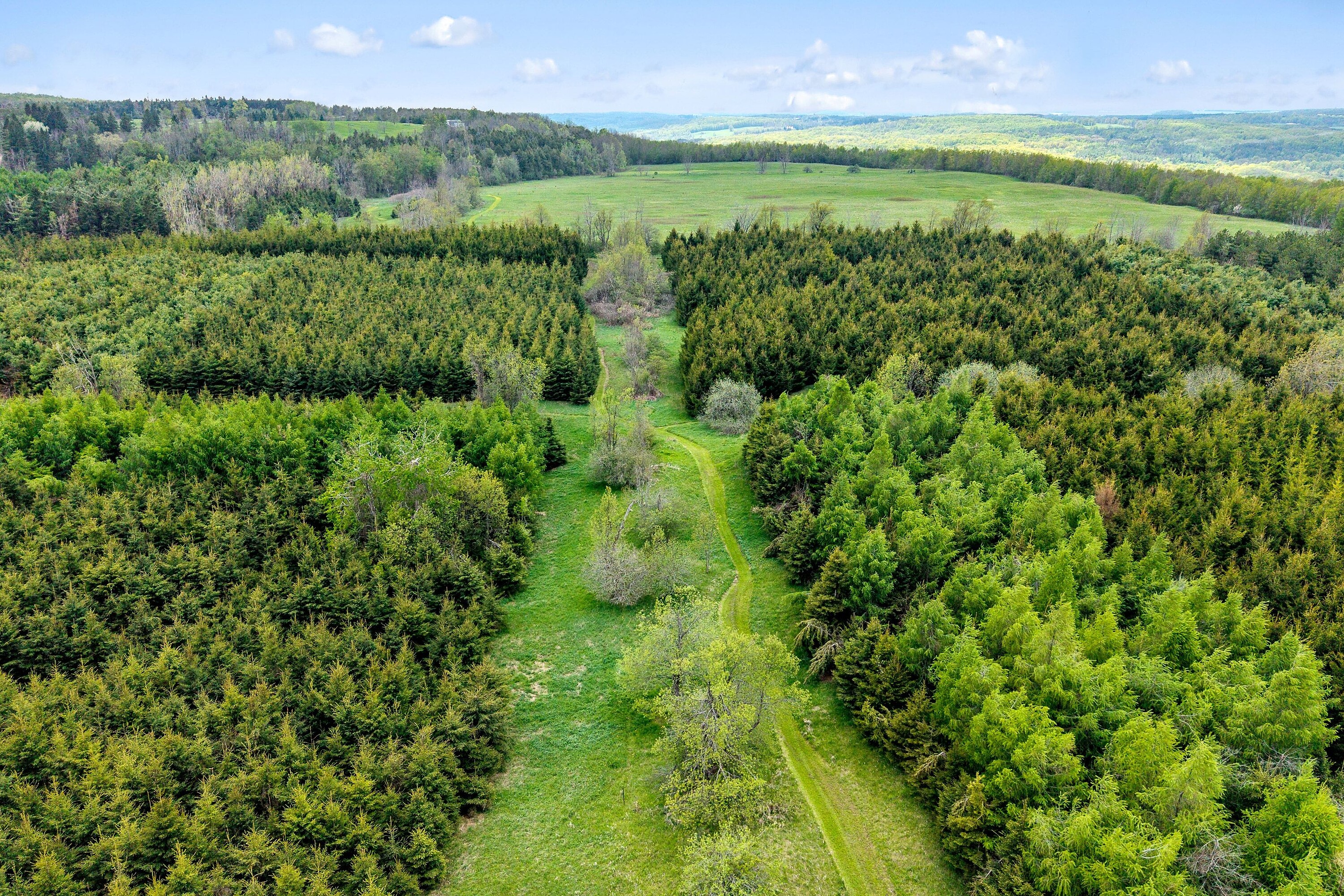  88-Acre Mulmur Estate - 物件實景