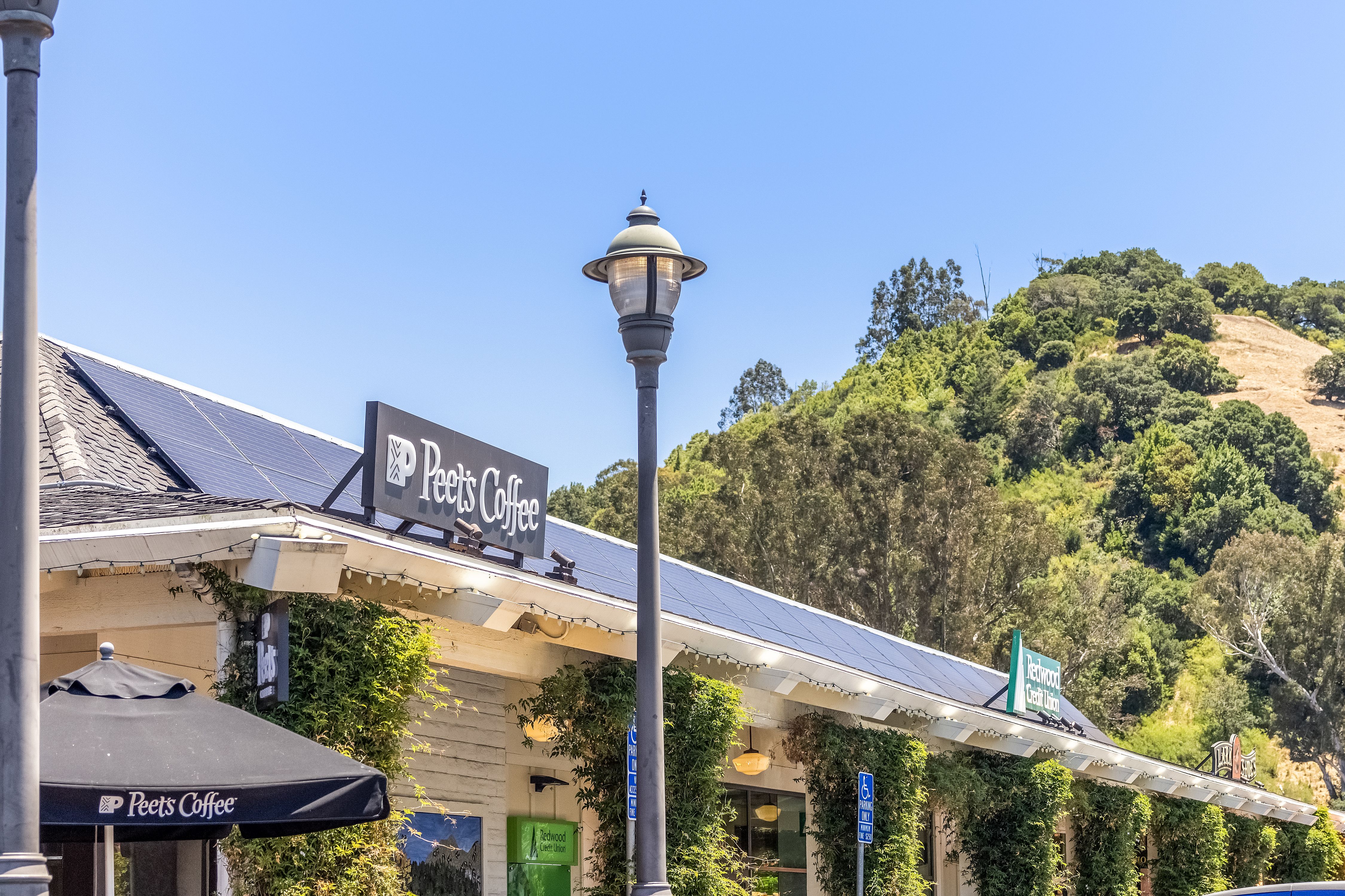  Landscaped Garden Oasis on Sir Francis Drake Boulevard - 物件實景