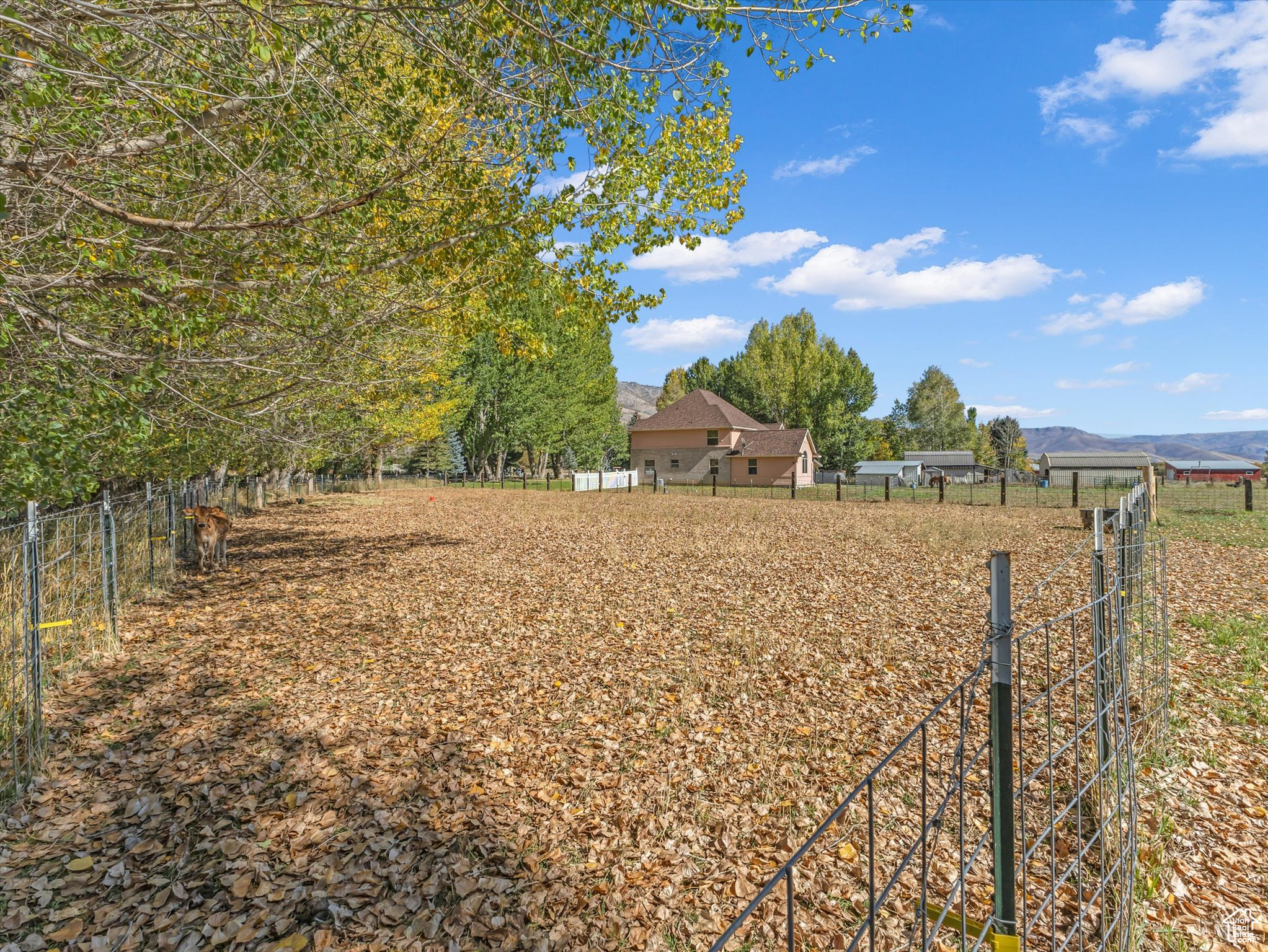 Liberty, Utah, 84310, United States, 4 Bedrooms Bedrooms, ,3 BathroomsBathrooms,Residential,For Sale,1989543