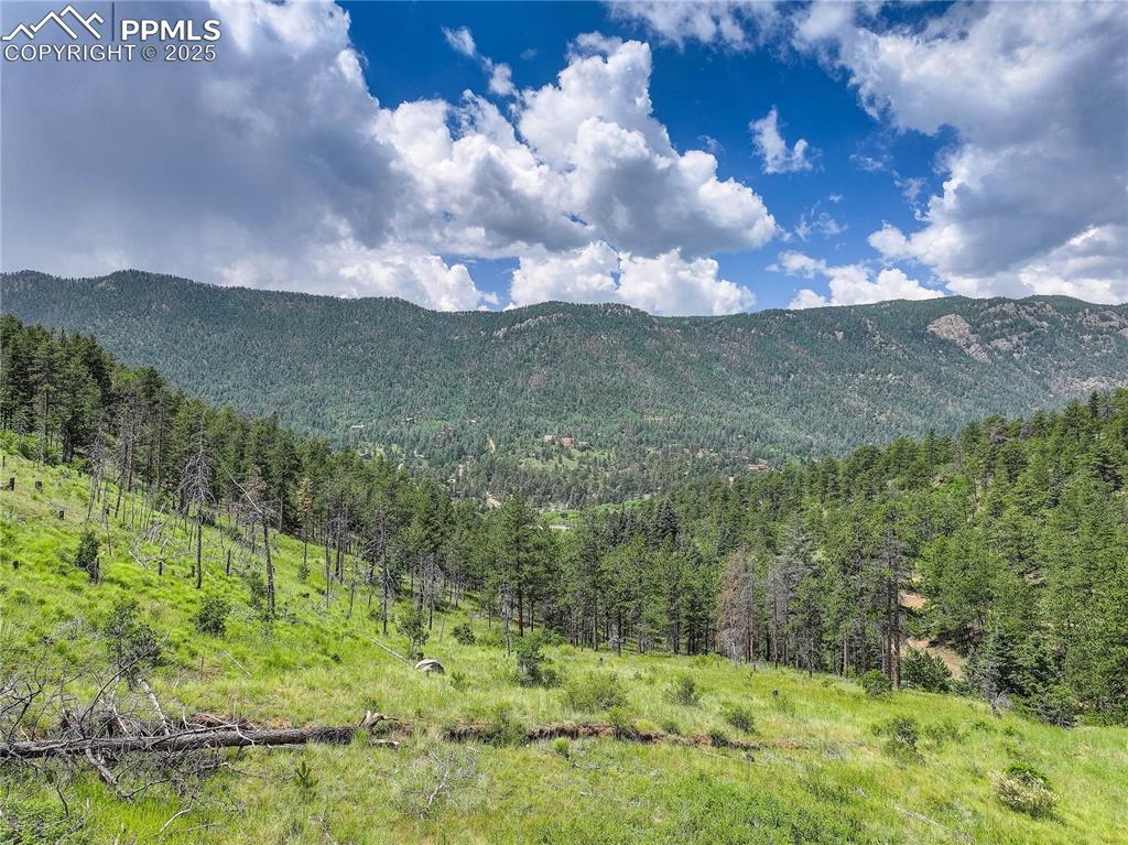 Cascade, Colorado, 80809, United States, ,Land,For Sale,1997132
