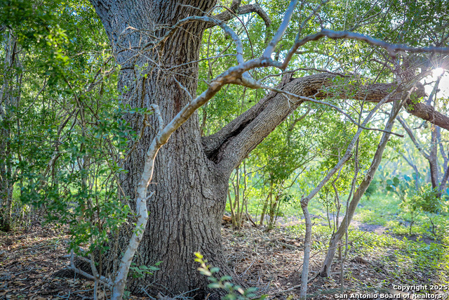 Beeville, Texas, 78102, United States, ,Land,For Sale,1942121