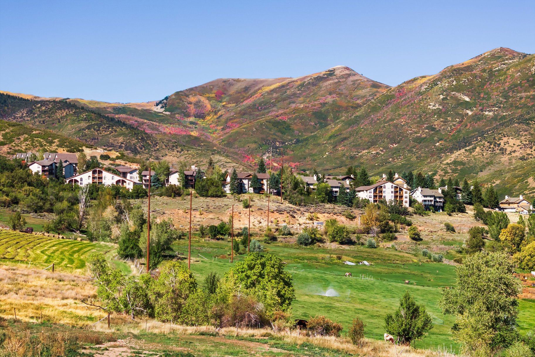  Rare 4-Acre Estate Property overlooking Midway - 物件實景