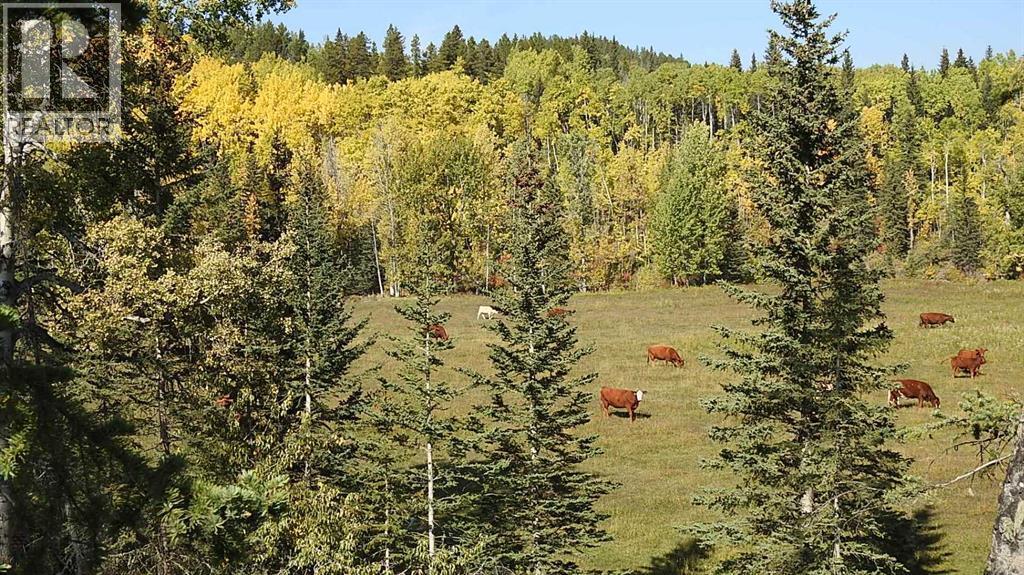 RURAL FOOTHILLS COUNTY, Alberta, T0L 1K0, CA, ,Residential,For Sale,1947264