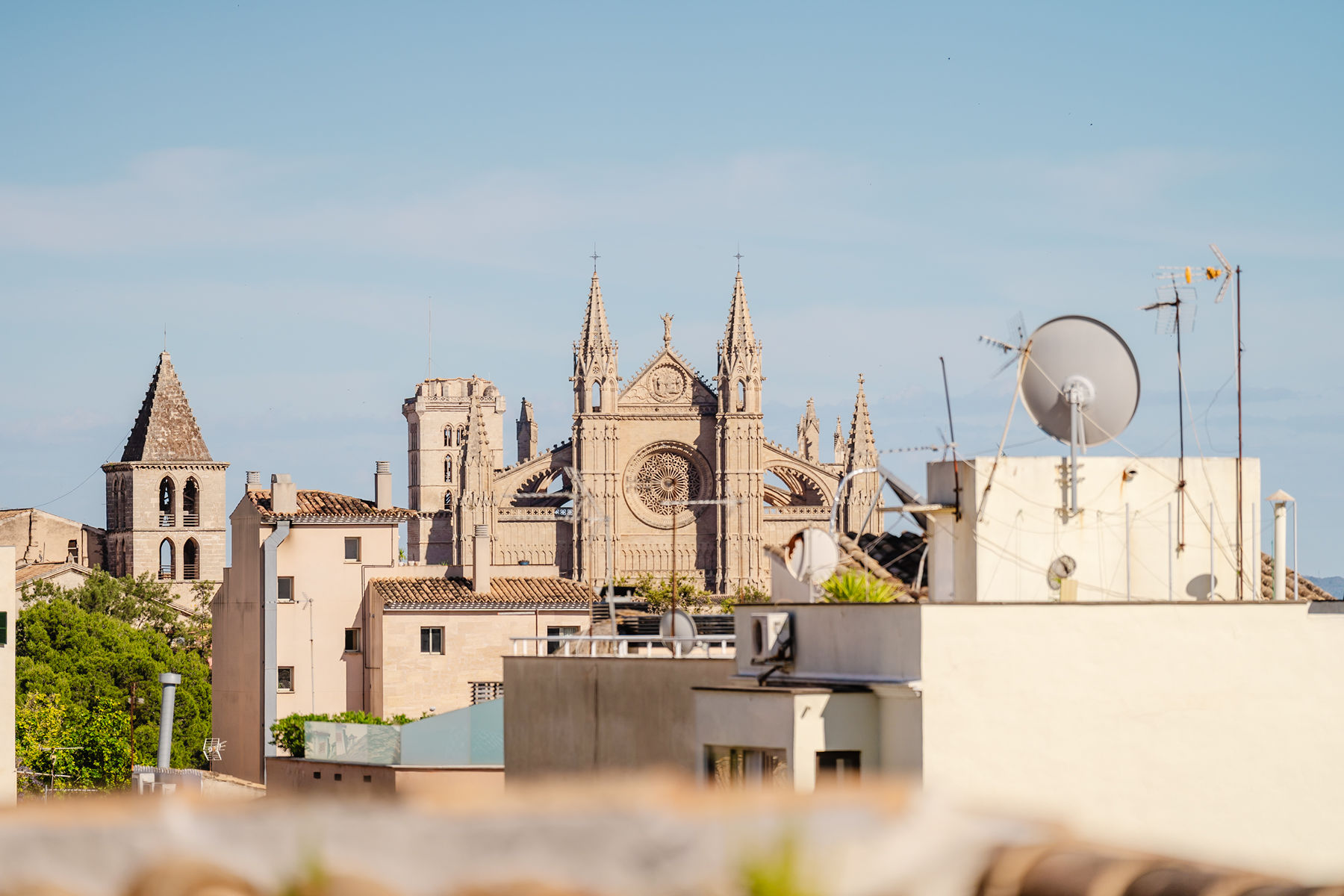  Penthouse loft with terrace and sea views in Santa Catalina, Palma - 物件實景