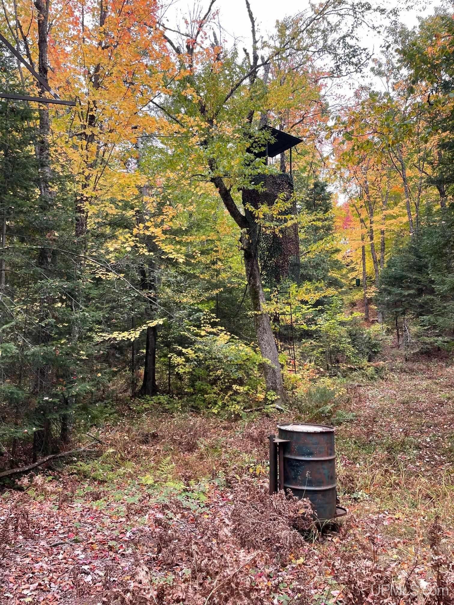 Ishpeming, Michigan, 49829, United States, ,Land,For Sale,1980384