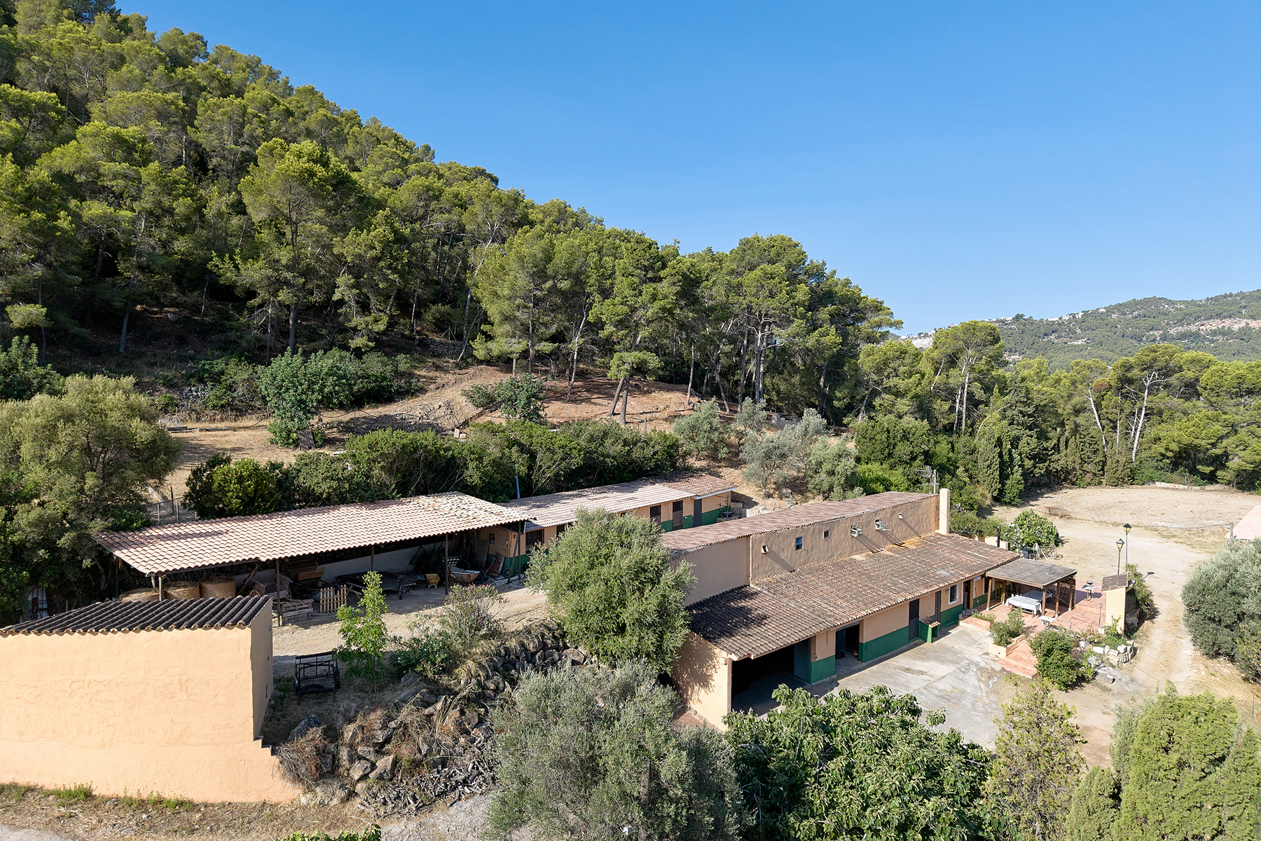  Country Estate with Equestrian Facilities in Port Andratx - 物件實景
