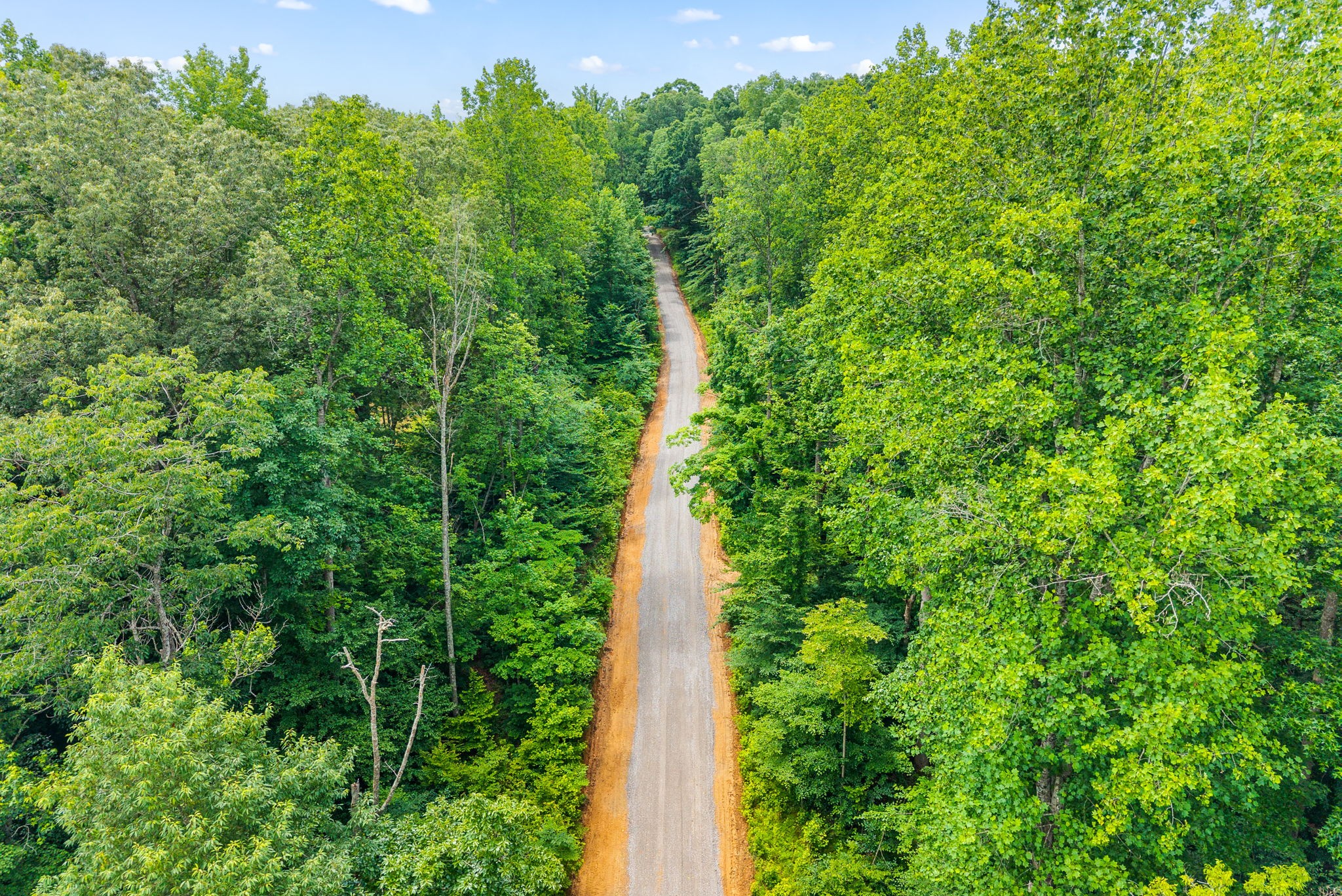  196 Wildlife Road, Dover, TN, 37058 - 物件實景