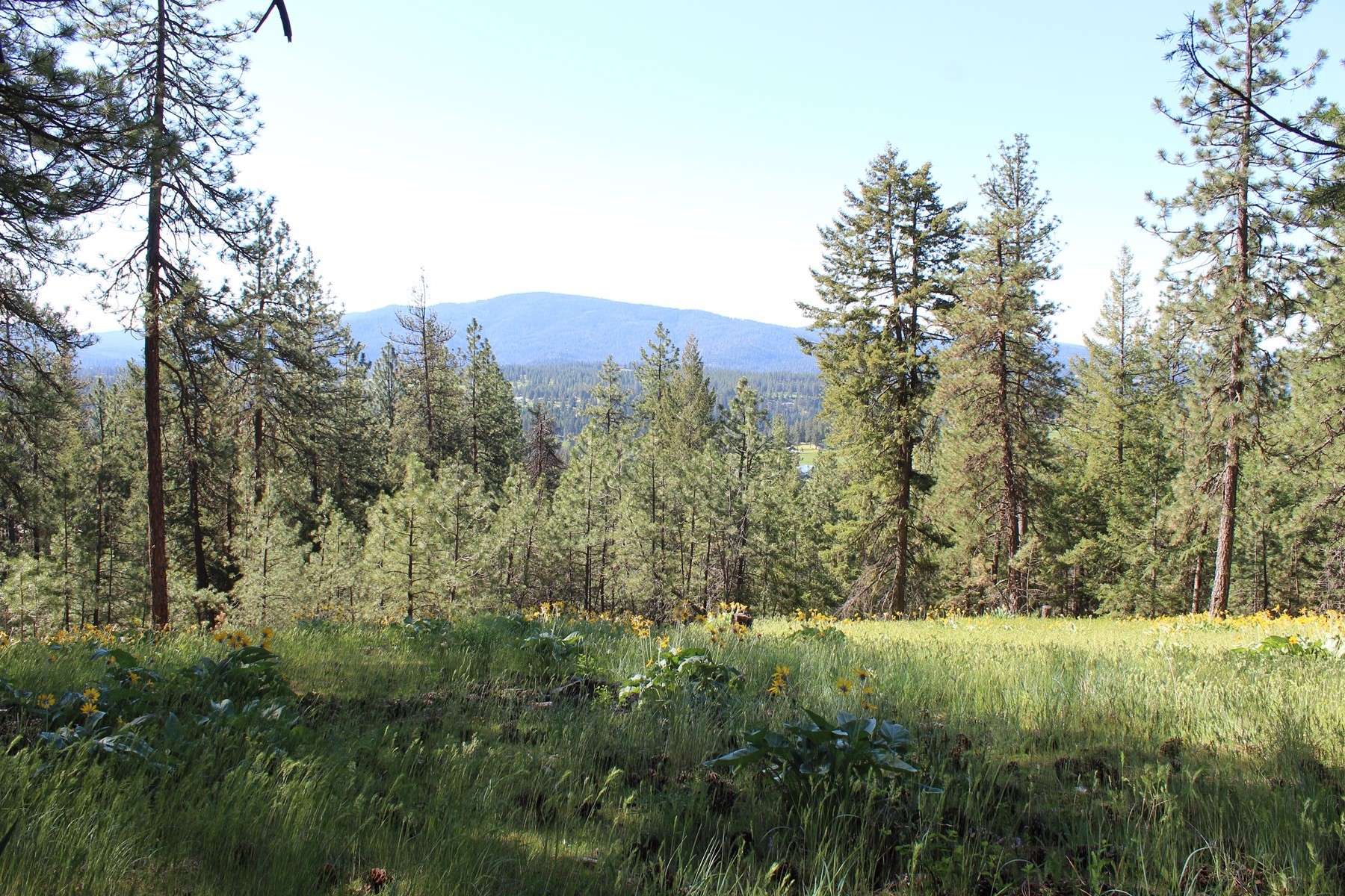  881 S Allen Rd and 2714 E Haven Dr Coeur d
