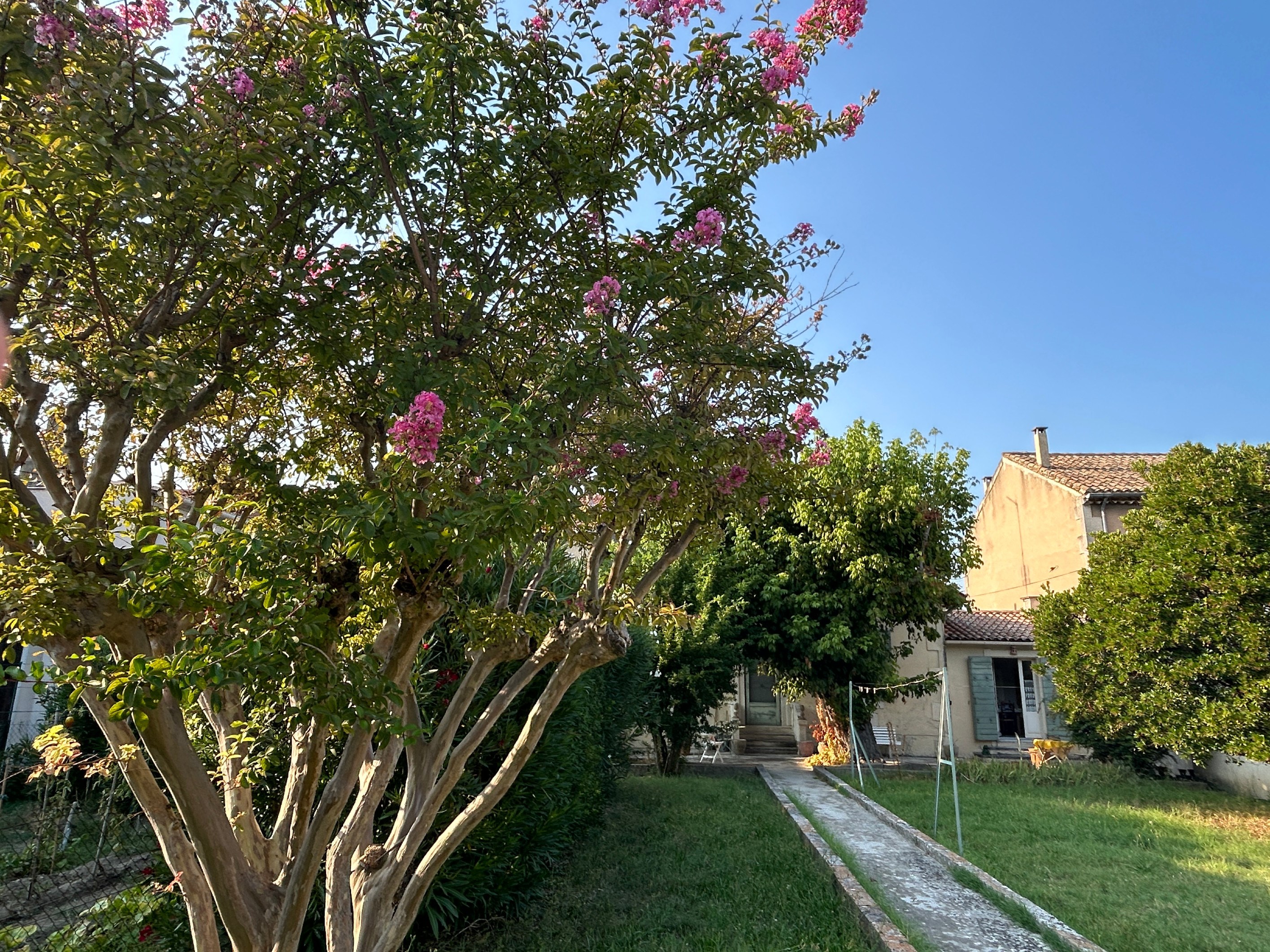  Village house to renovate, St Rémy de Provence - Centre - 物件實景